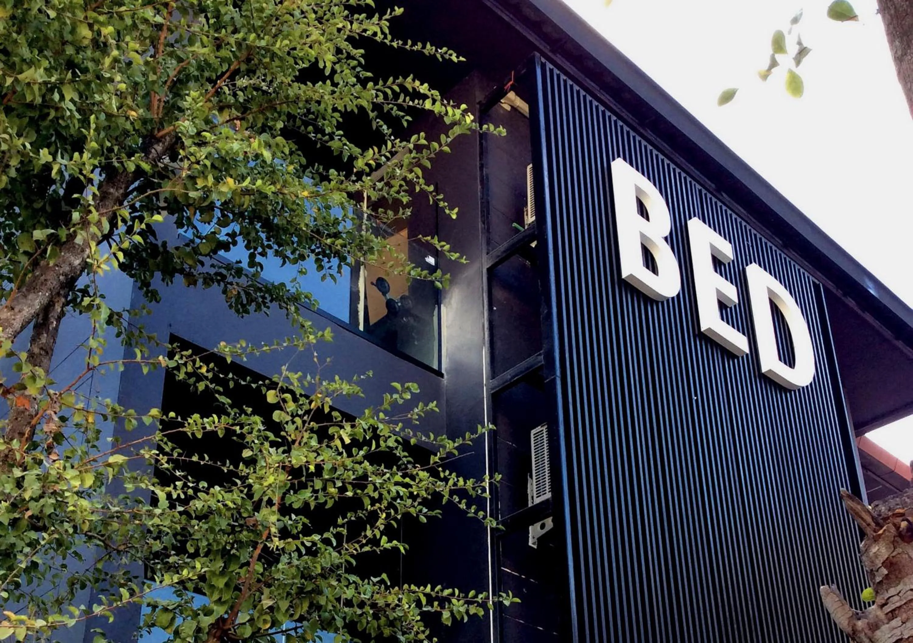 Property building in BED Phrasingh-Adults Only