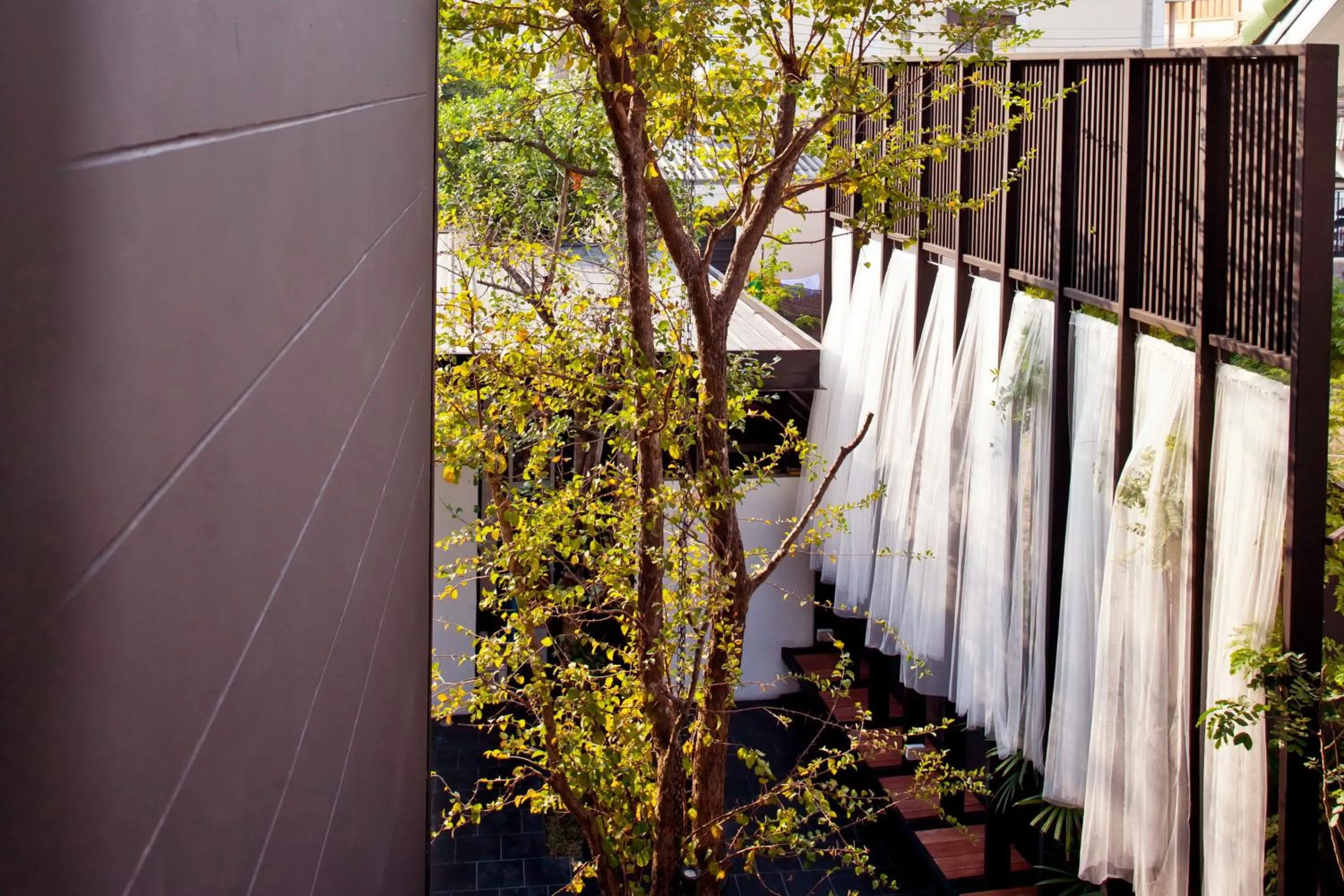 Garden in BED Phrasingh-Adults Only