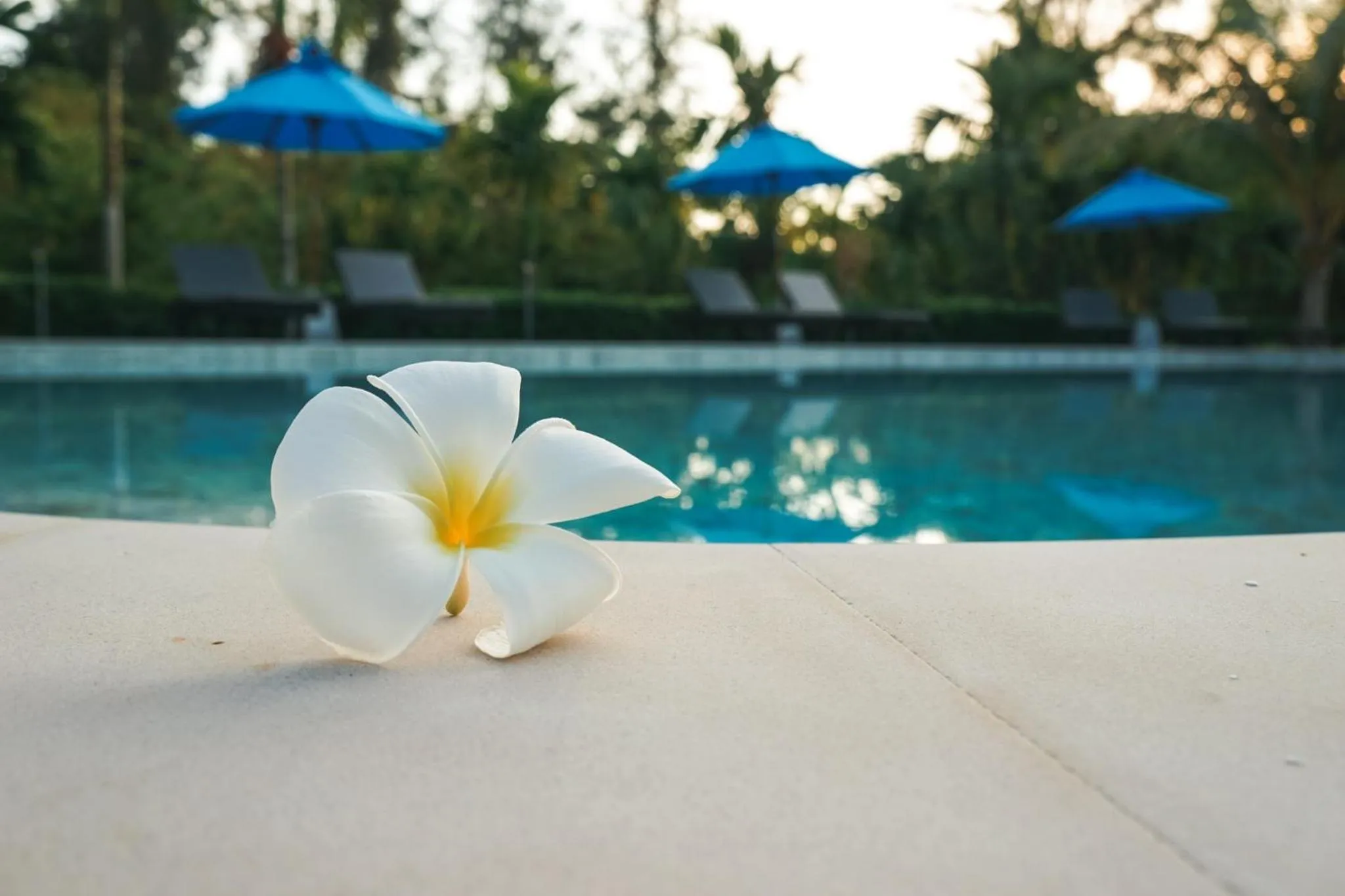 Swimming pool in Na Vela Village - Adults Only Hotel