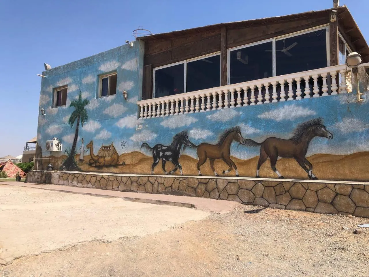 Horse-riding in A pyramids view