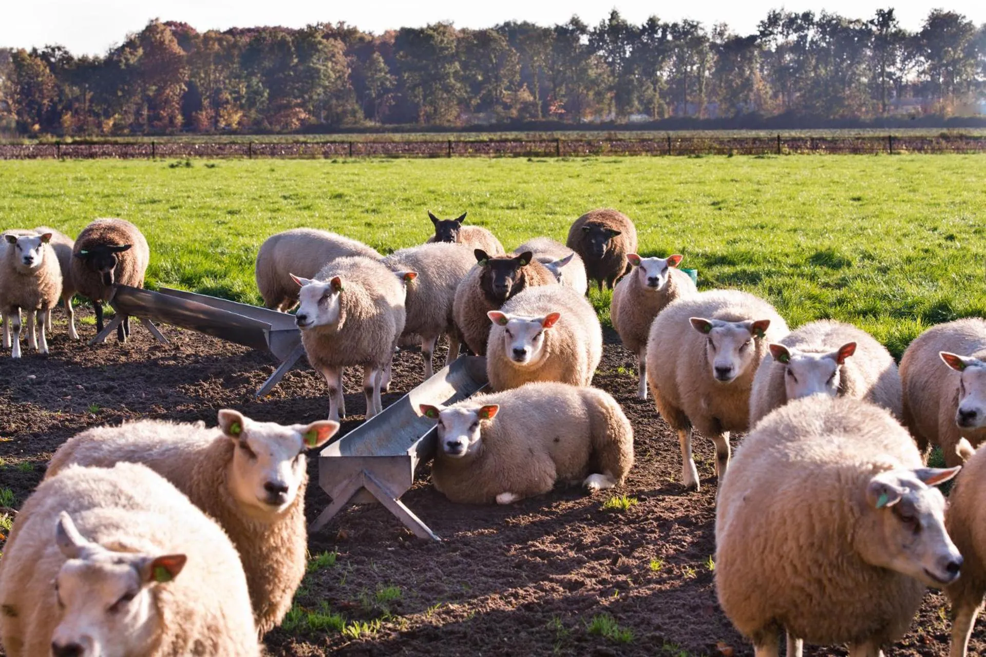 View (from property/room) in B&B De Ouw Skuur