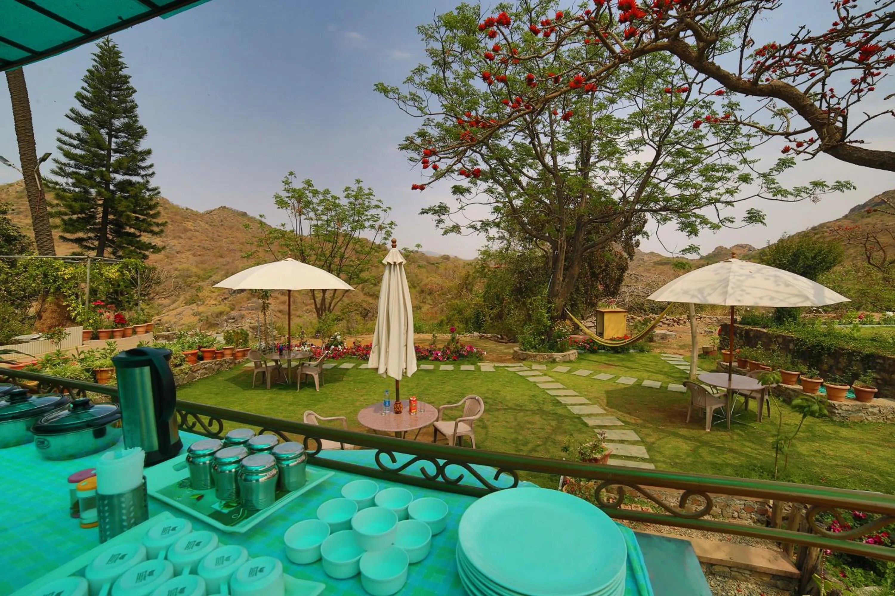 Restaurant/places to eat in Forest Eco Lodge