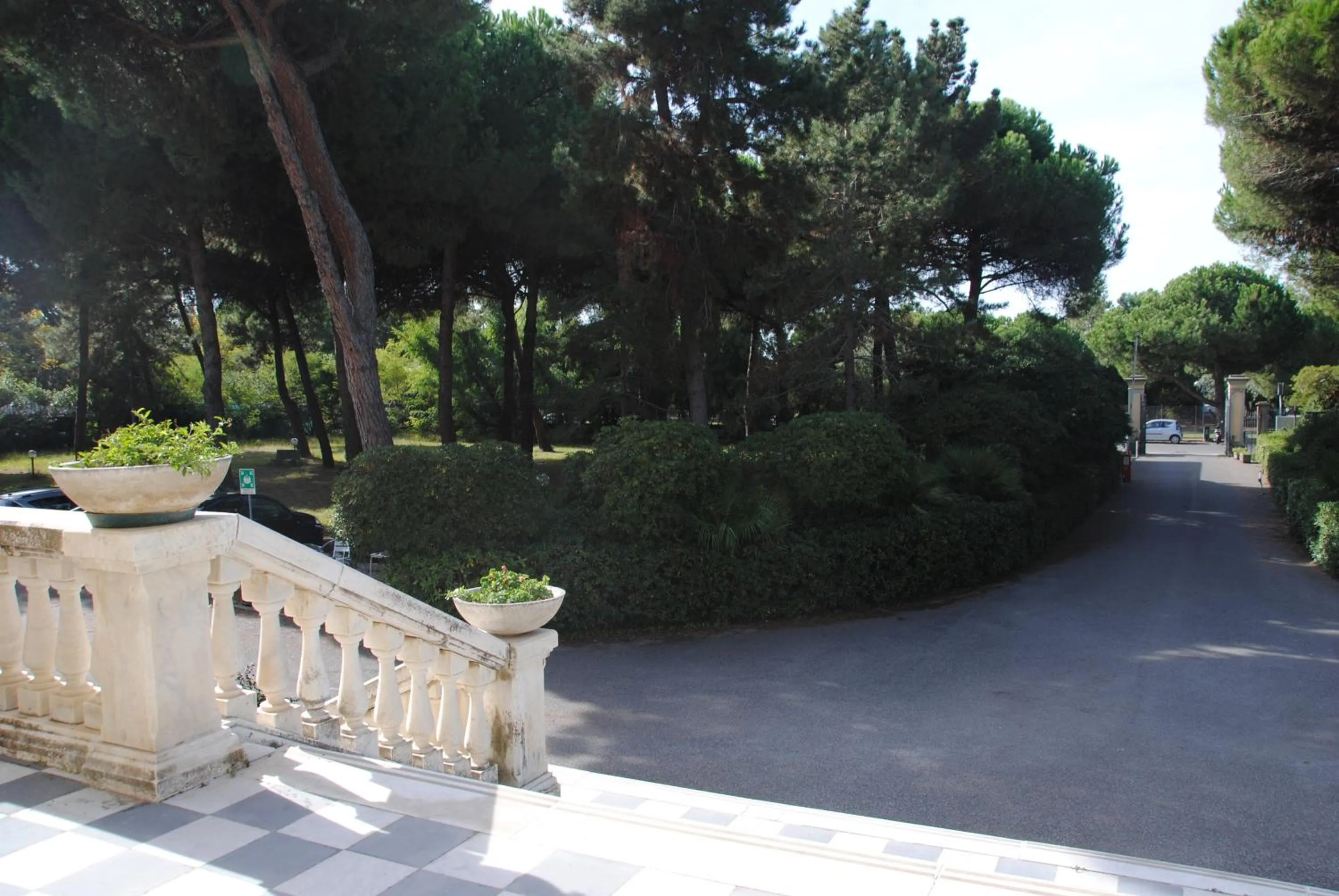 Garden view in Sacro Cuore Hotel