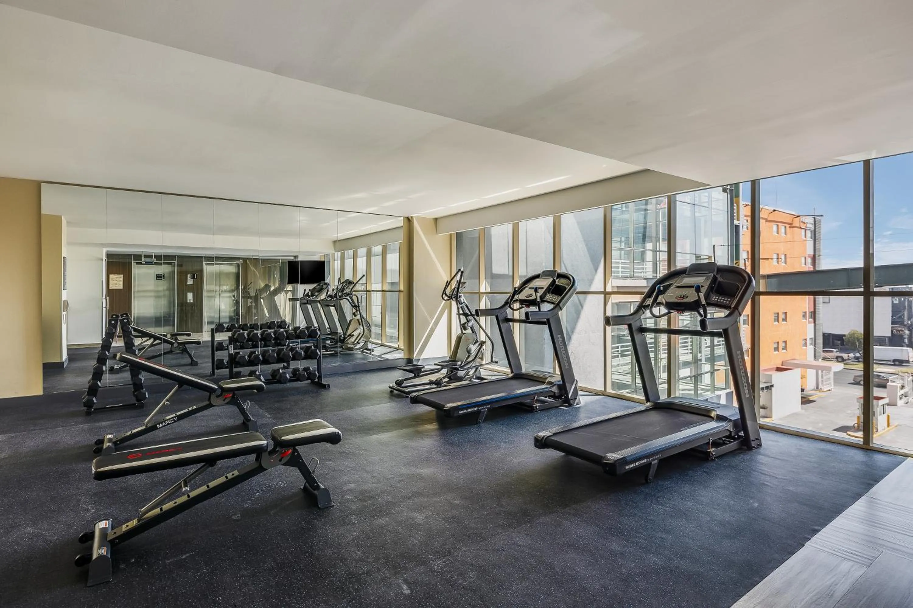 Fitness centre/facilities in Gamma Toluca
