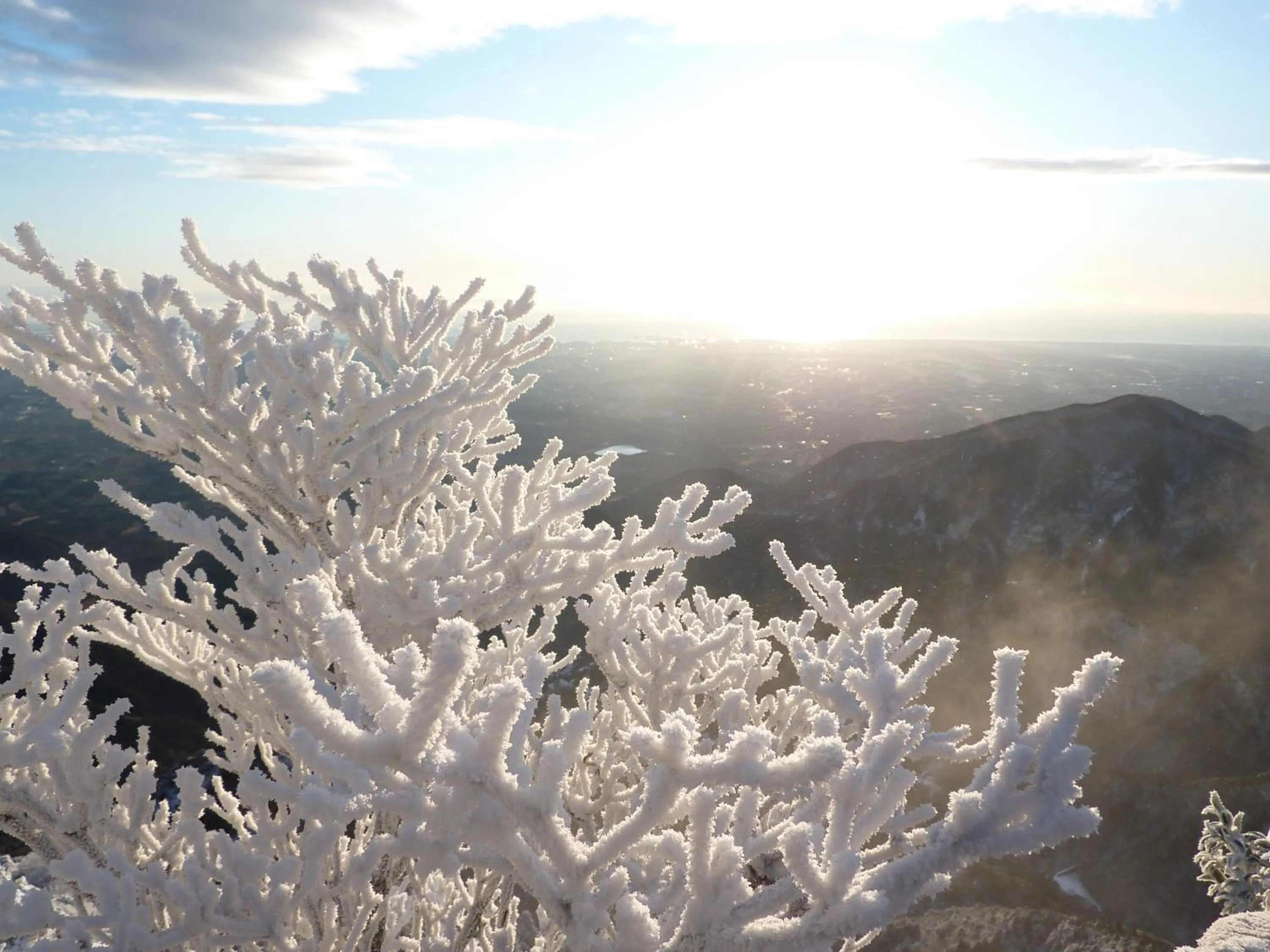 Winter in Irodori Koyo