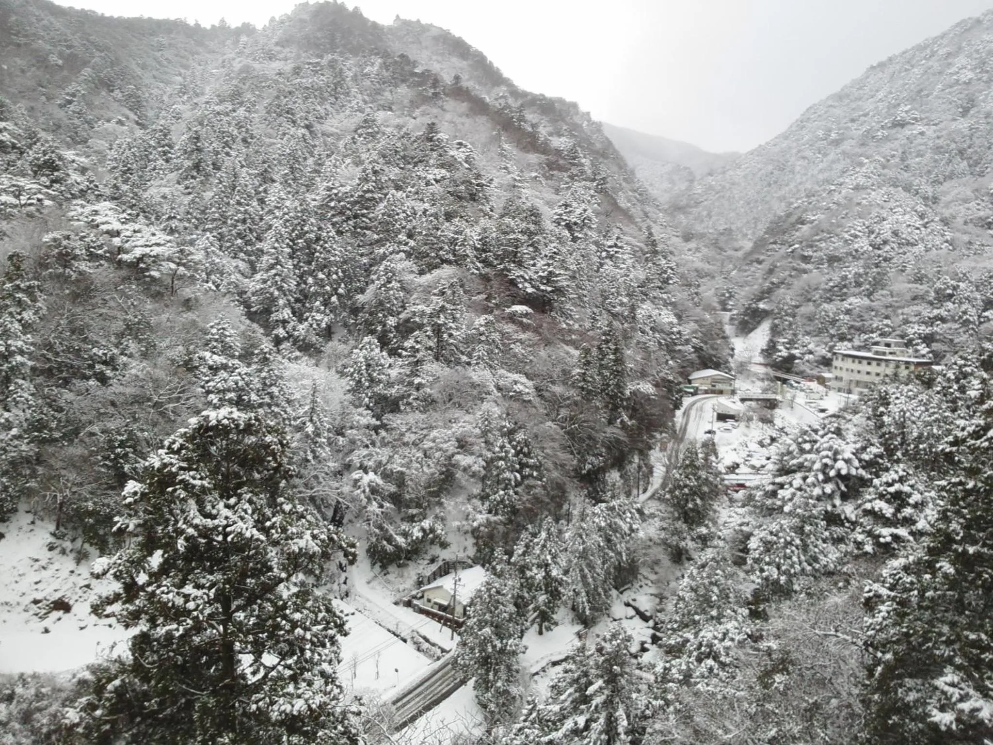 Neighbourhood in Irodori Koyo