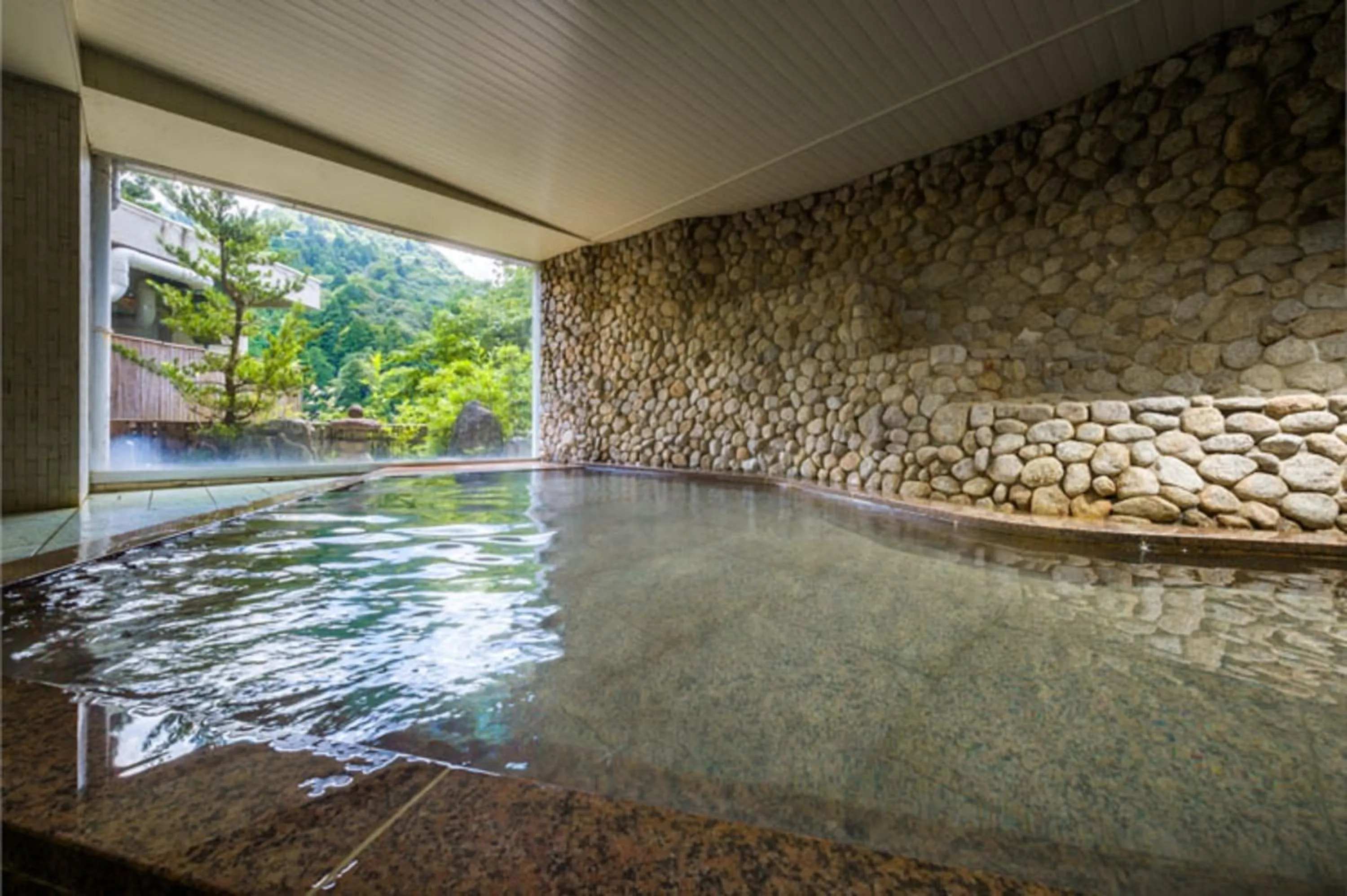 Public Bath in Irodori Koyo