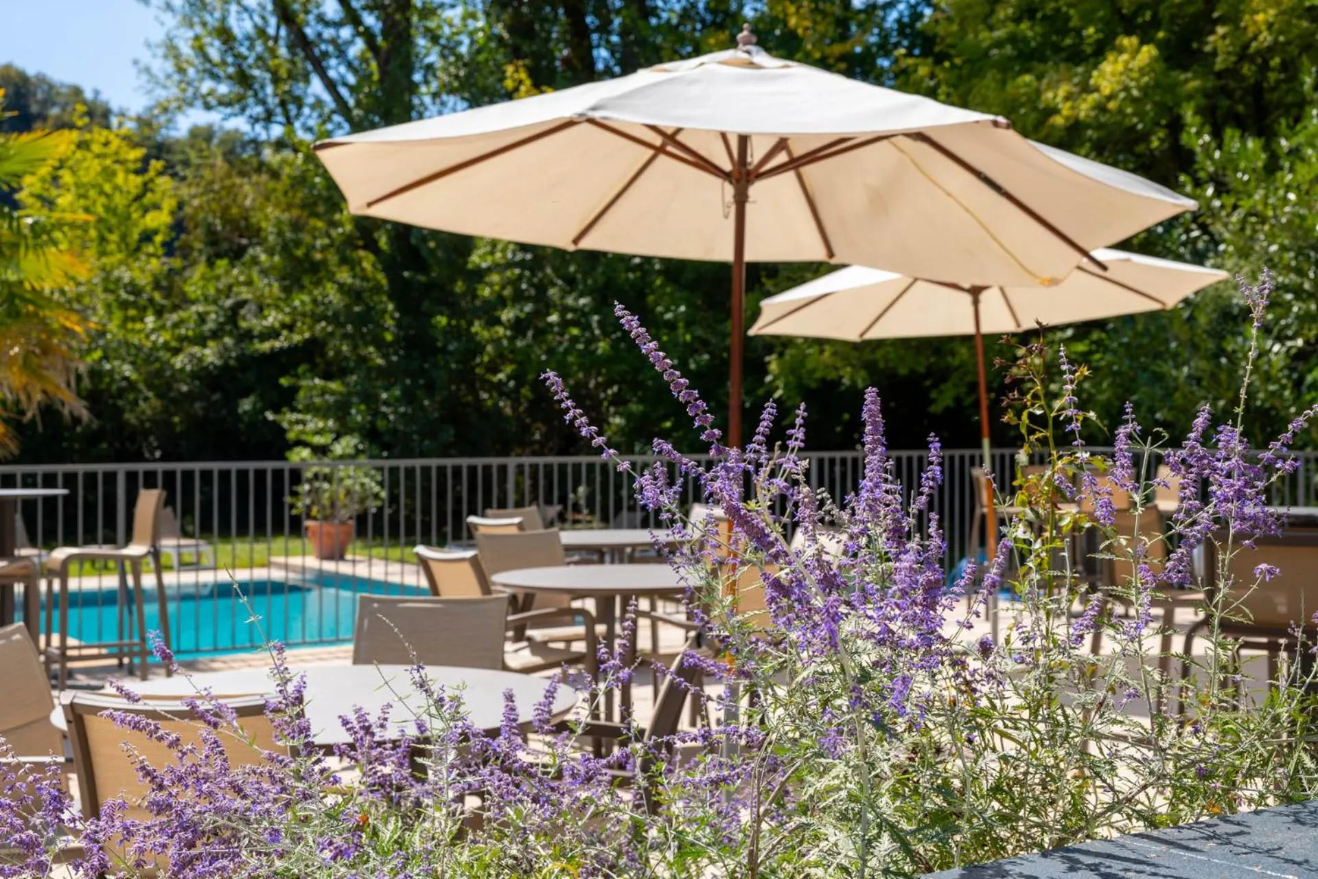 Restaurant/places to eat in Hôtel La Ségalière Spa Bar