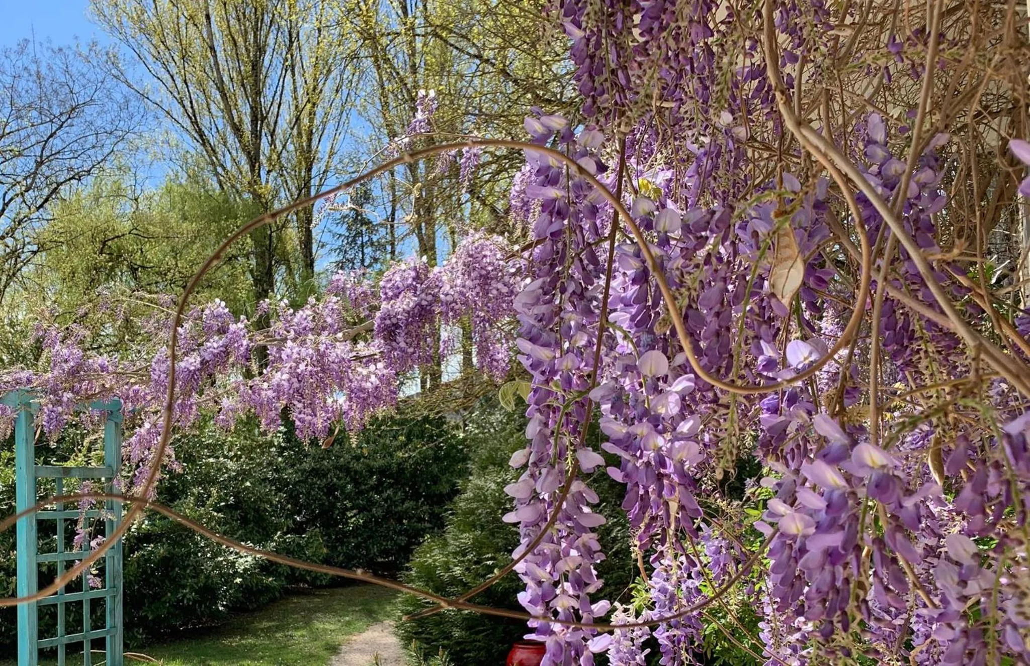 Garden in Hôtel La Ségalière Spa Bar