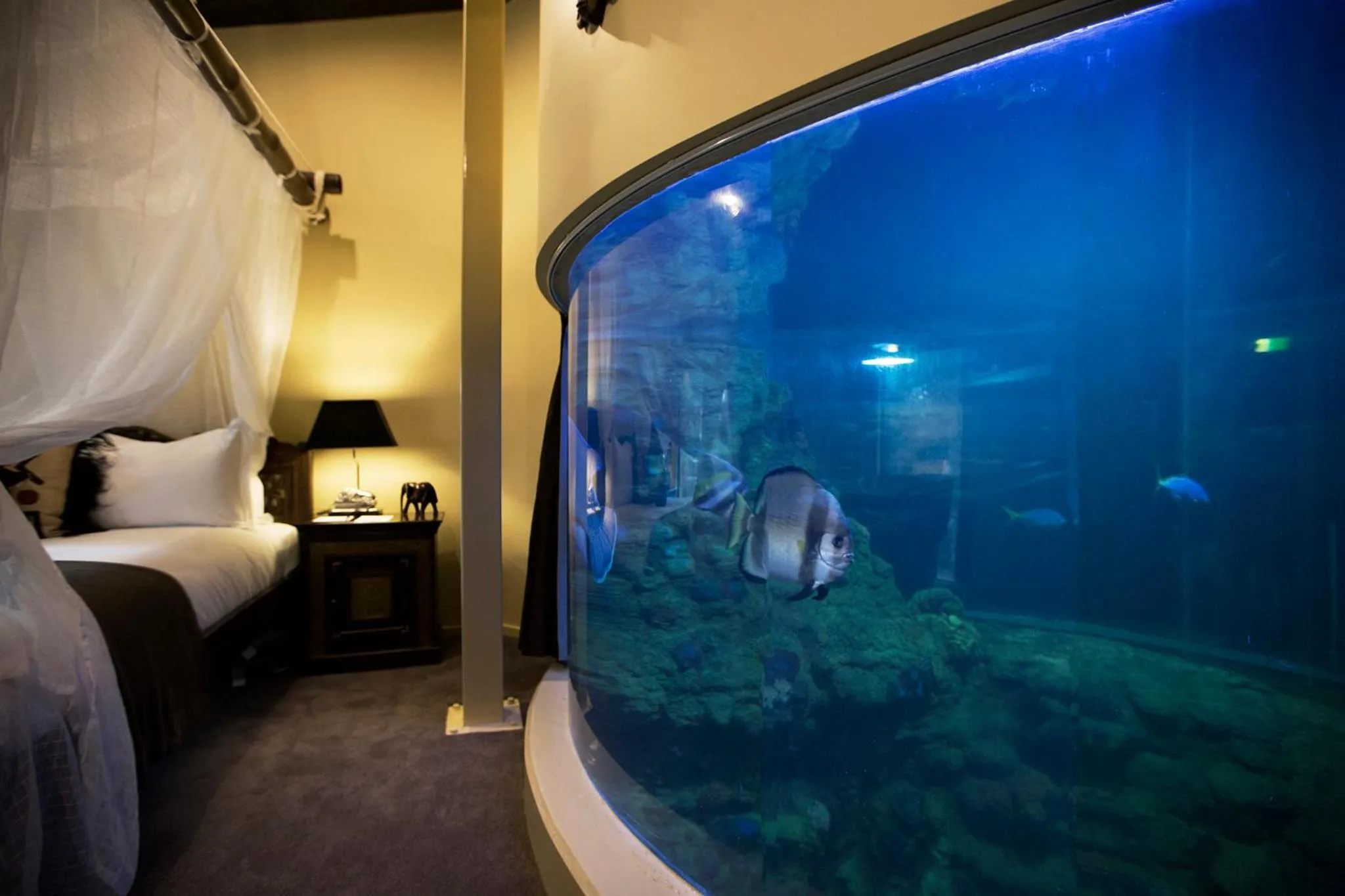 Decorative detail, Bed in Jamala Wildlife Lodge