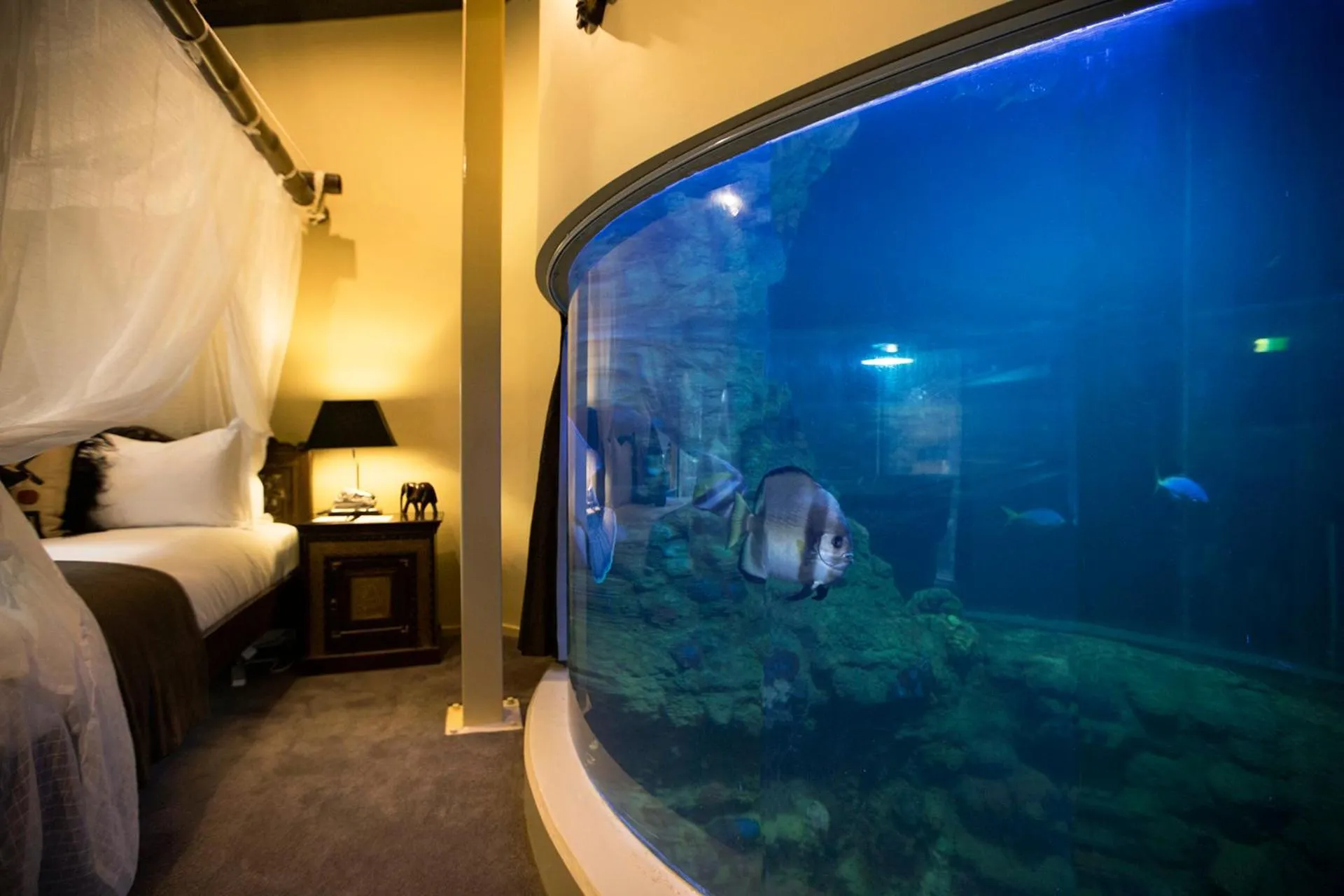 View (from property/room), Bed in Jamala Wildlife Lodge