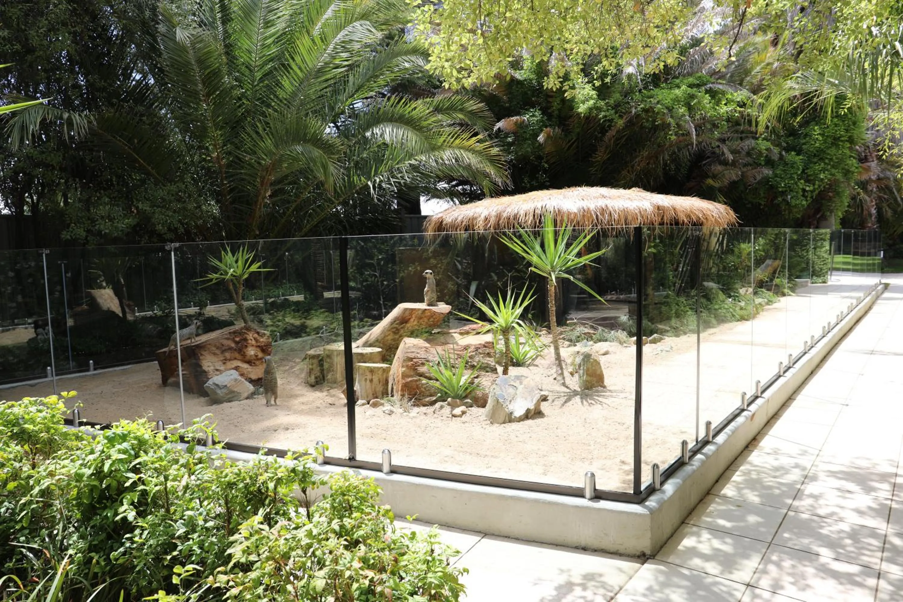 Animals in Jamala Wildlife Lodge