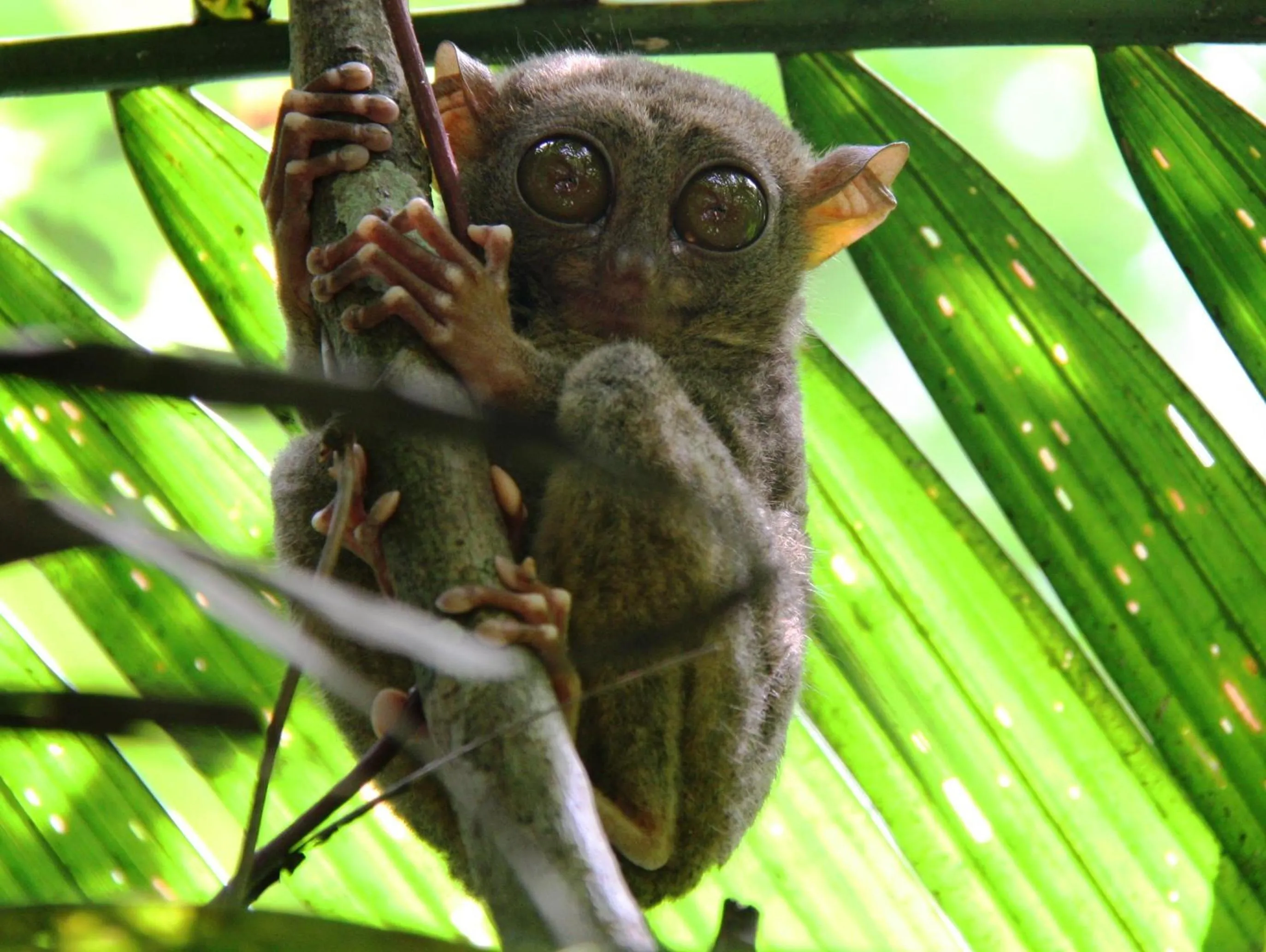 Nearby landmark in Magic Oceans Dive Resort