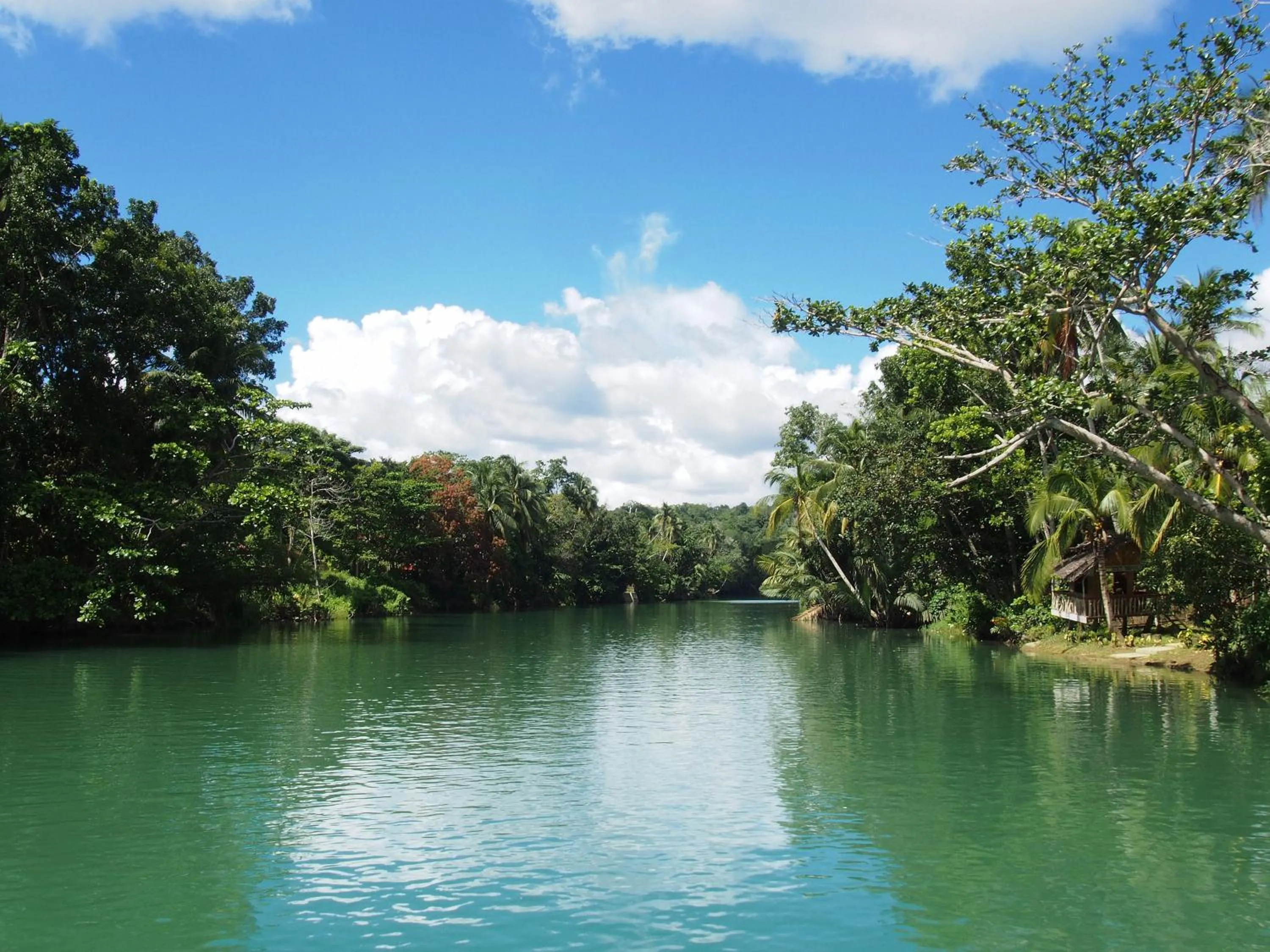 Natural landscape in Magic Oceans Dive Resort