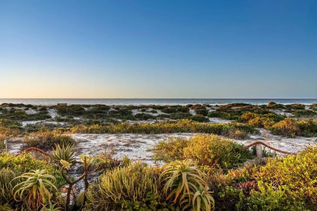 Escape Beach Cottage in Dwarskersbos