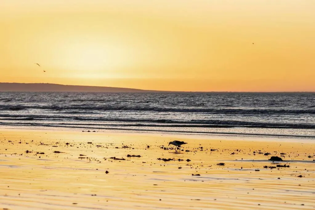 Escape Beach Cottage in Dwarskersbos