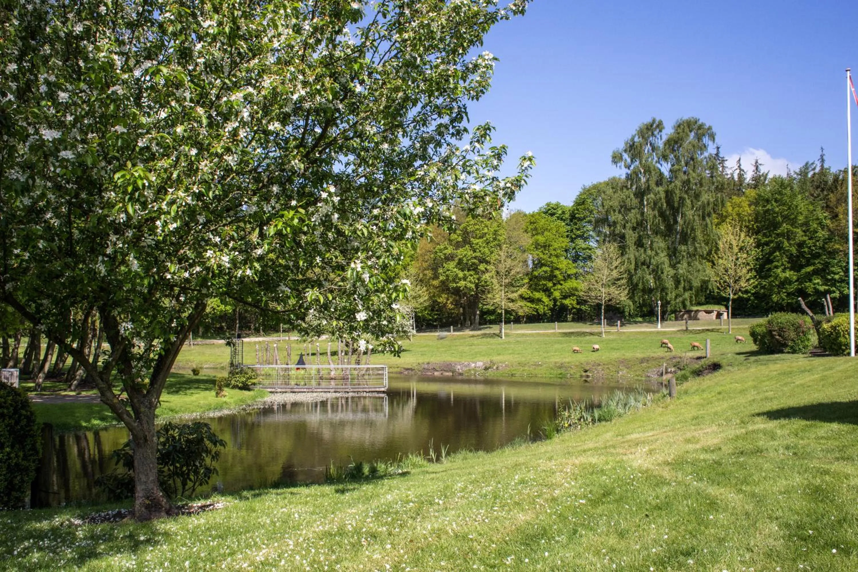 Garden in Fjelsted Skov Hotel & Konference
