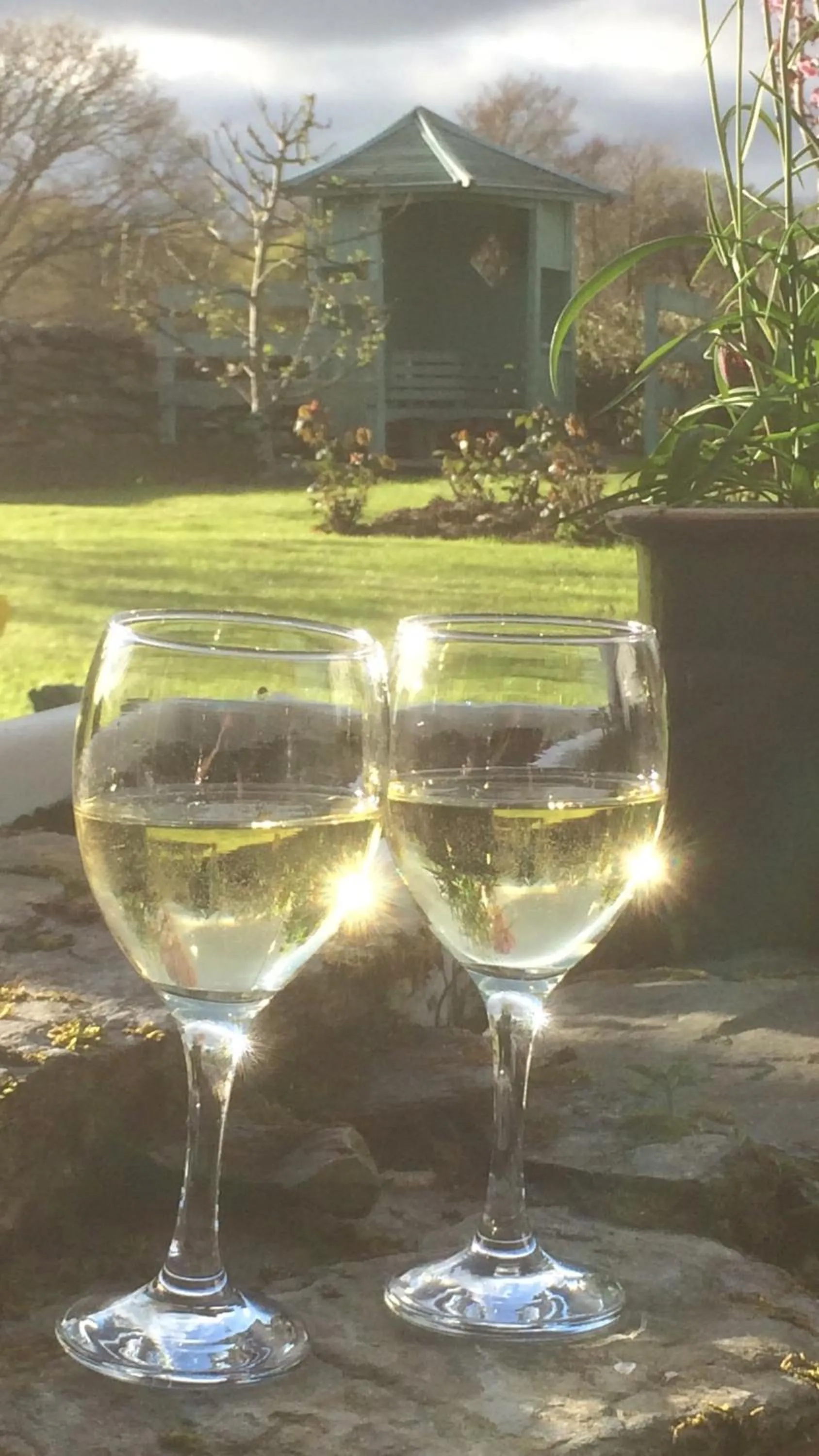 Garden view in Garth Engan Private Self Contained B&B with Garden Area