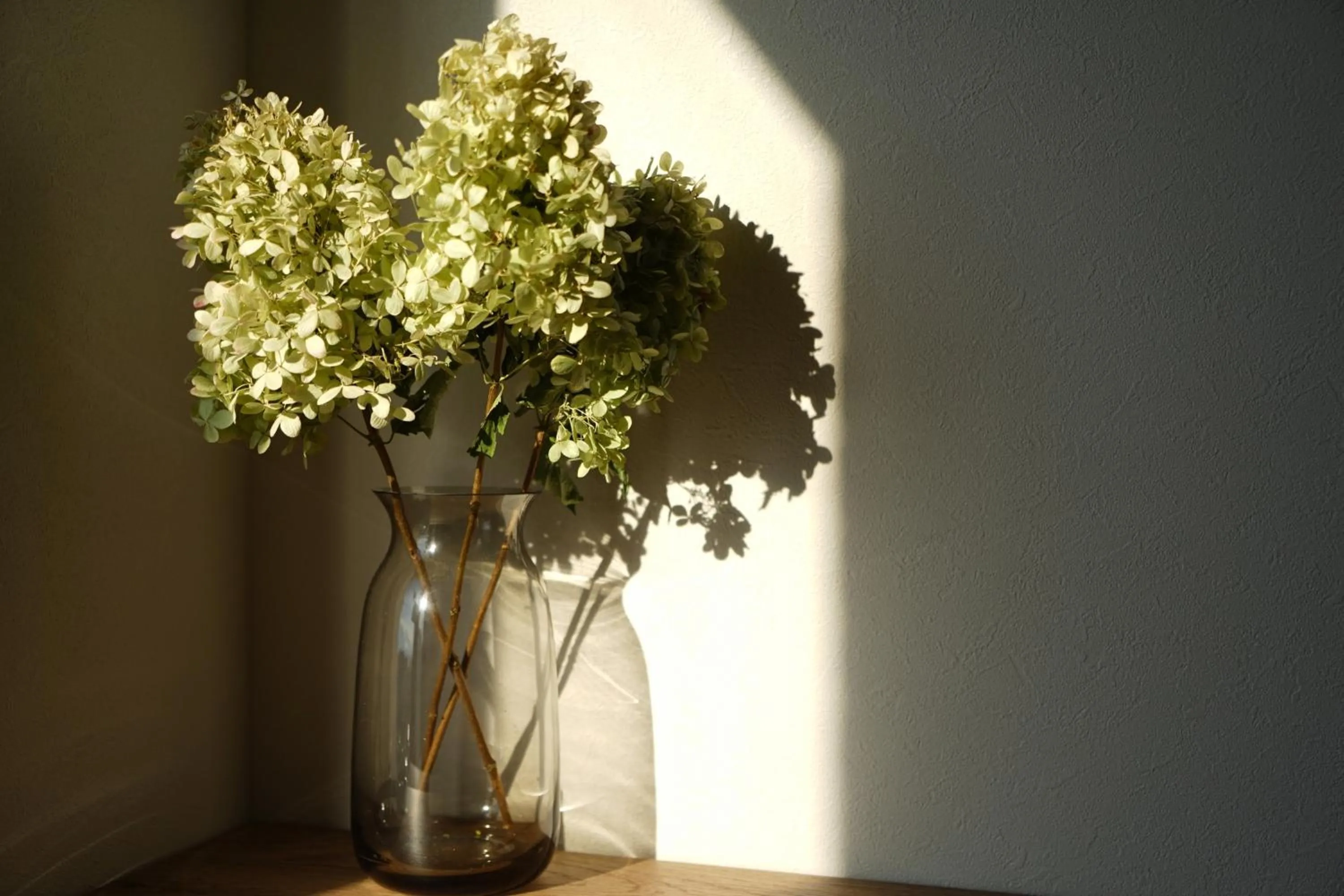 Decorative detail in wanderlust STAY