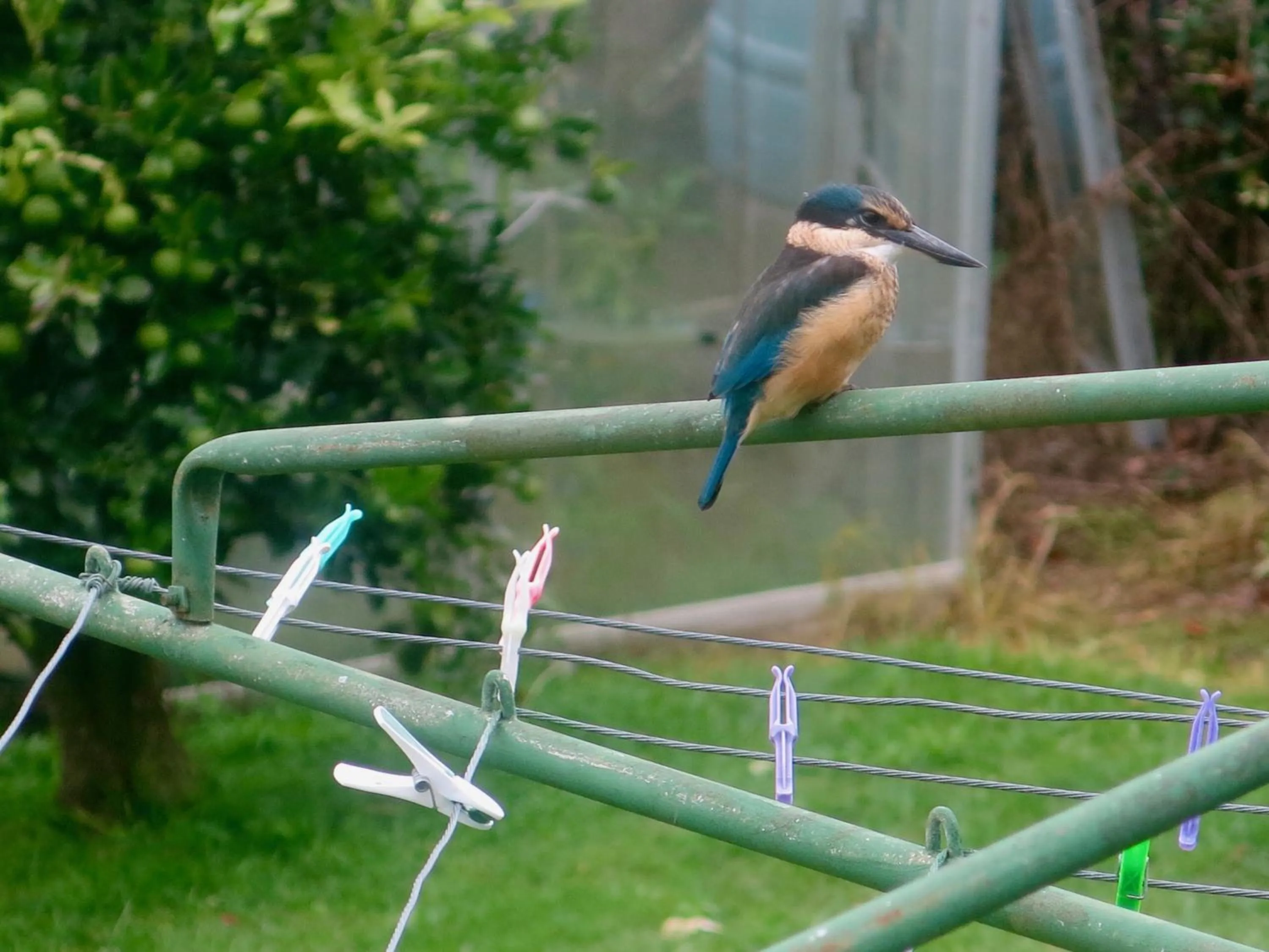 Property building in Atalaya