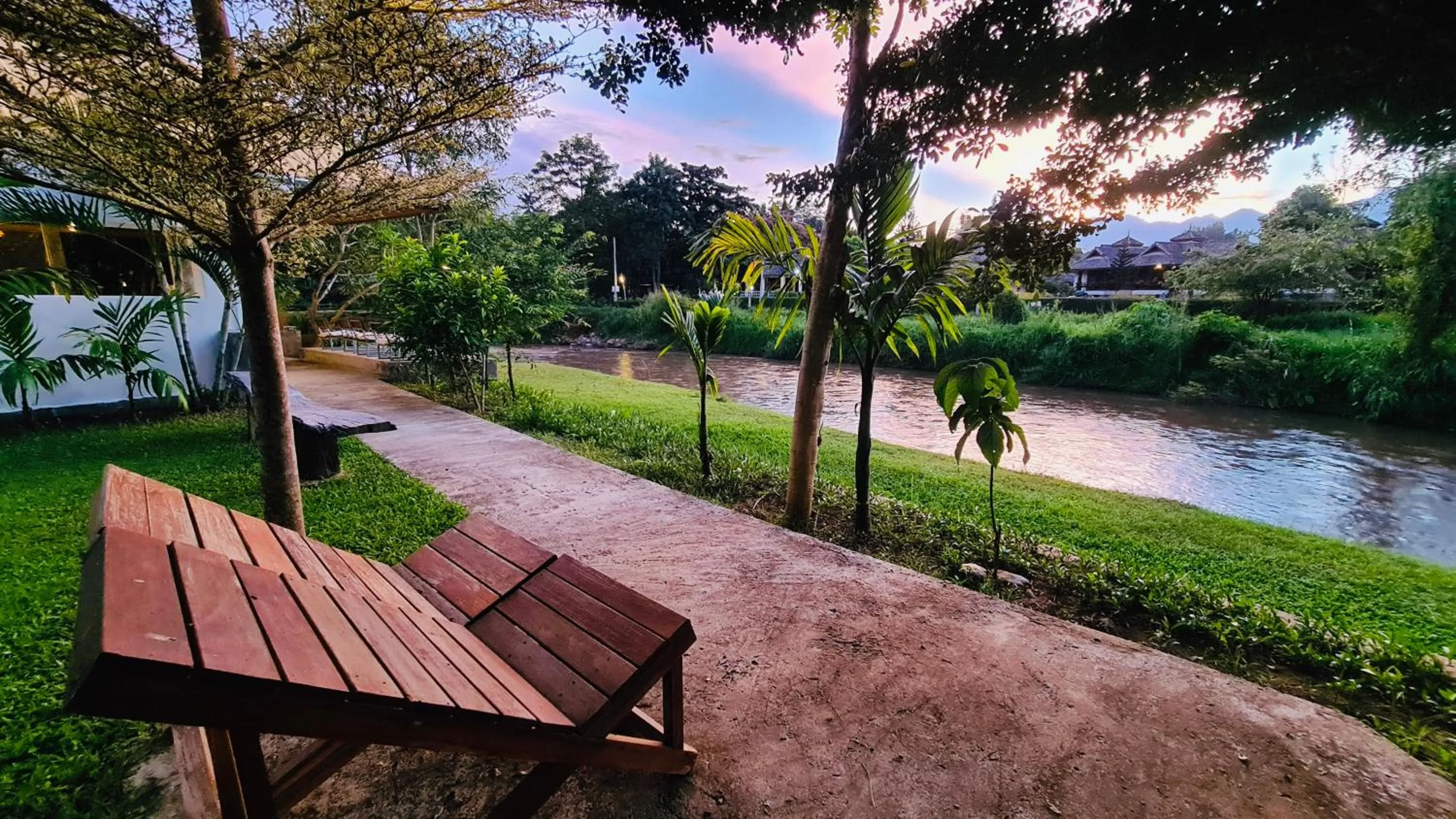Garden view in Canary Guesthouse