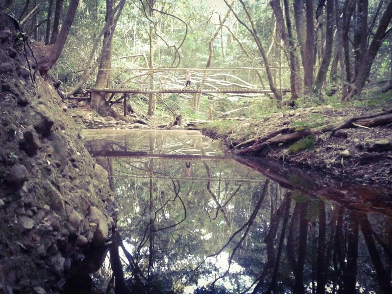 Natural landscape in Woodlands Self Catering