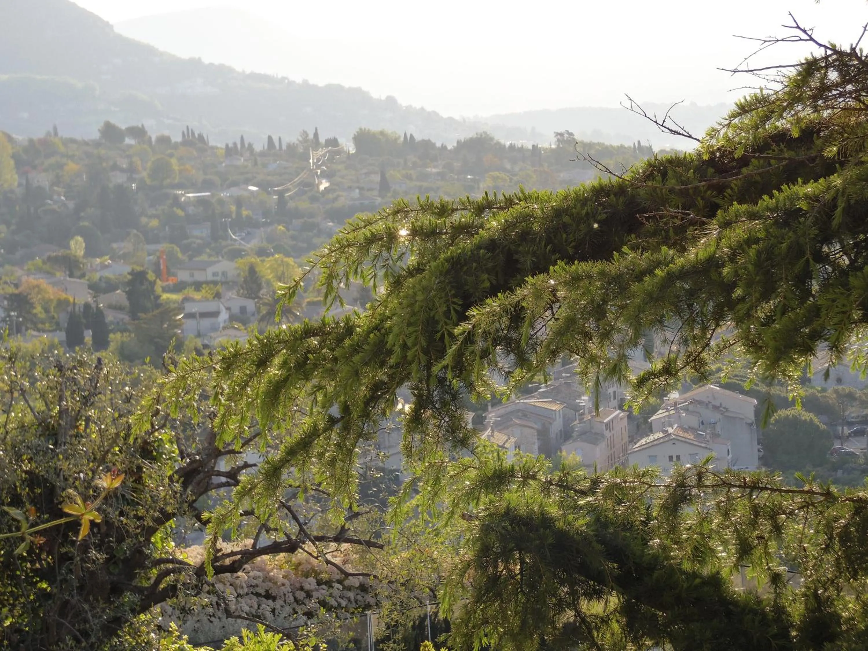 Landmark view in La Tourrette