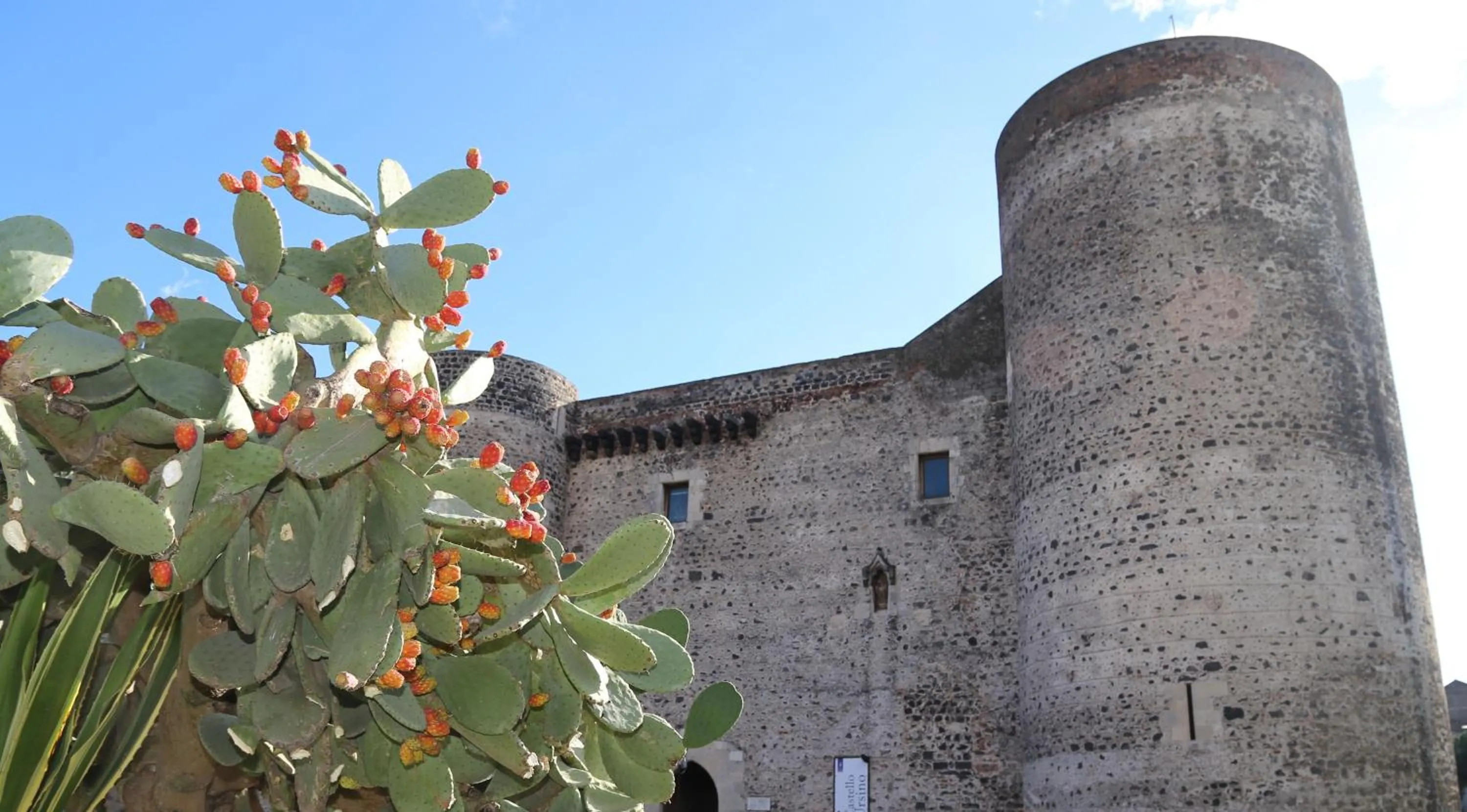 Area and facilities in B&B La Vetreria Almarù