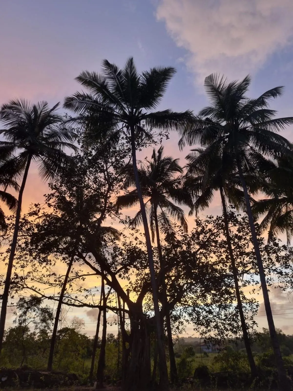 Sunset in Seclude Eco Cottages