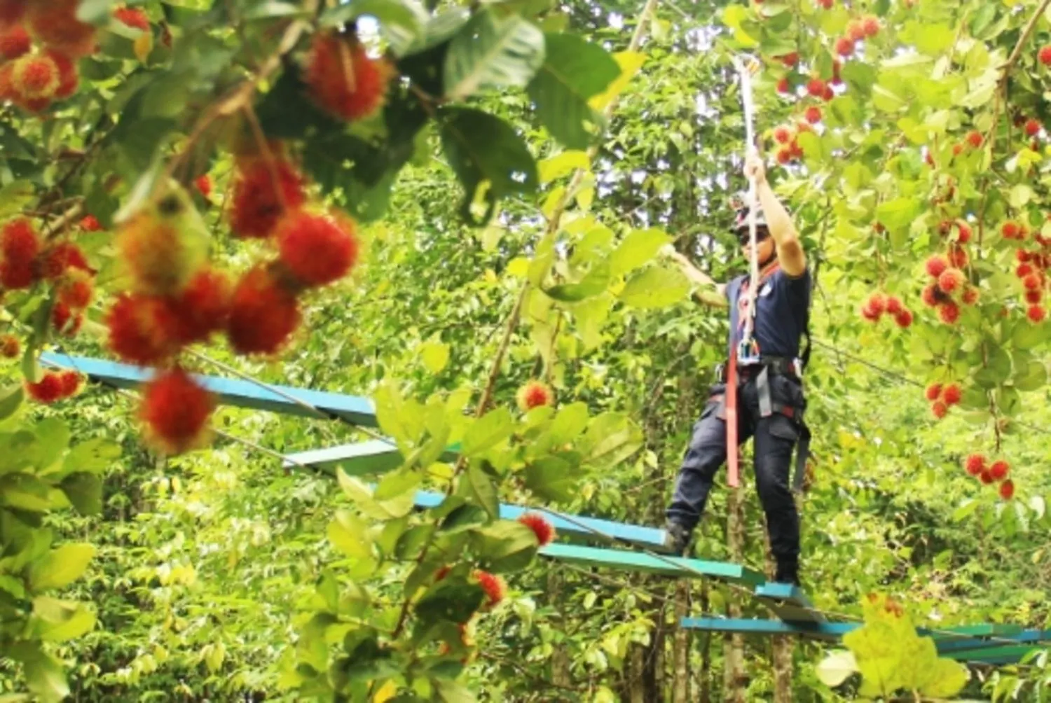 Sports in The Orchard Resort & Spa Melaka I World Spa Awards Winner I Free Access to Outdoor Spa Pool