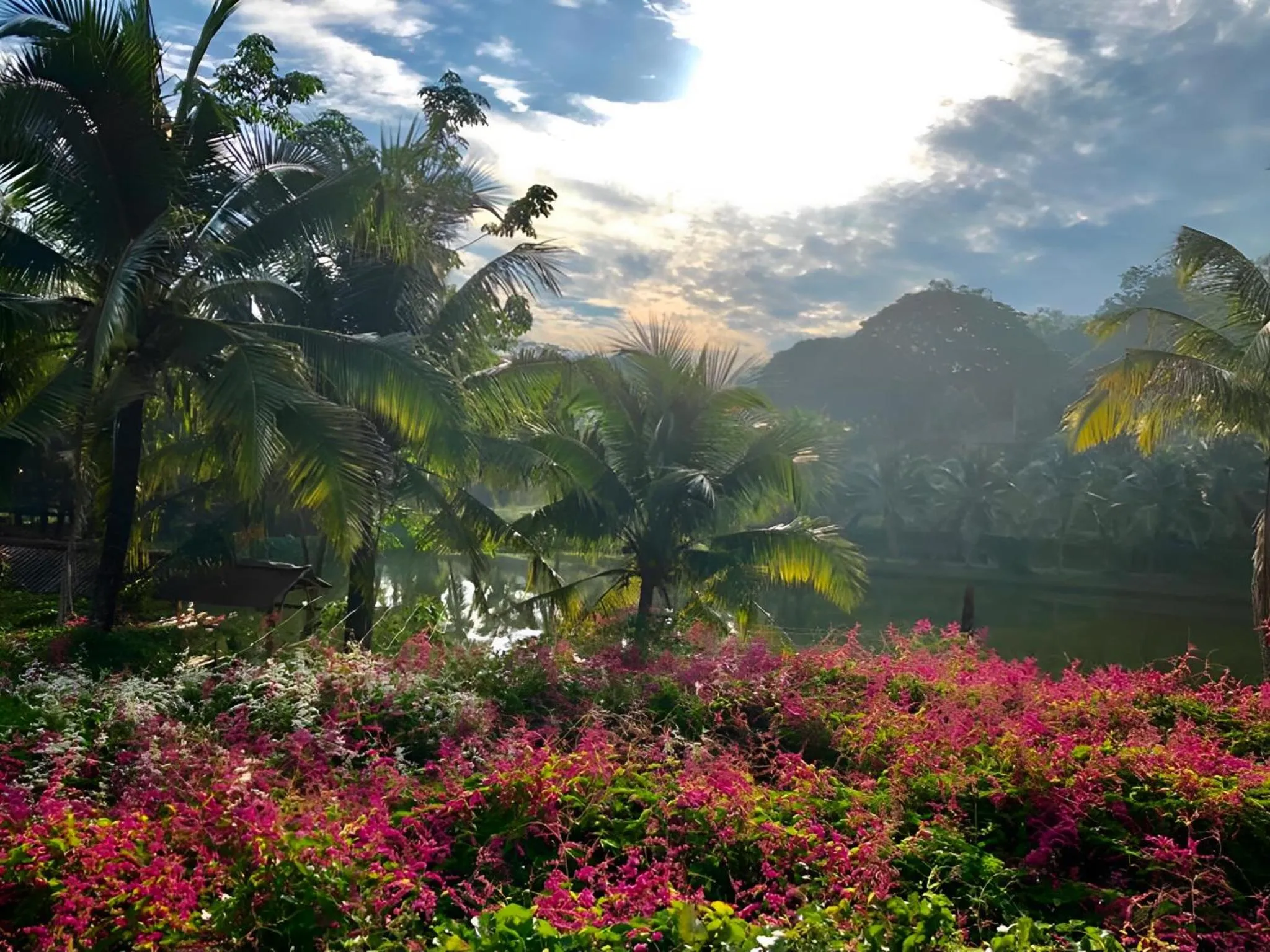 View (from property/room) in The Orchard Resort & Spa Melaka I World Spa Awards Winner I Free Access to Outdoor Spa Pool