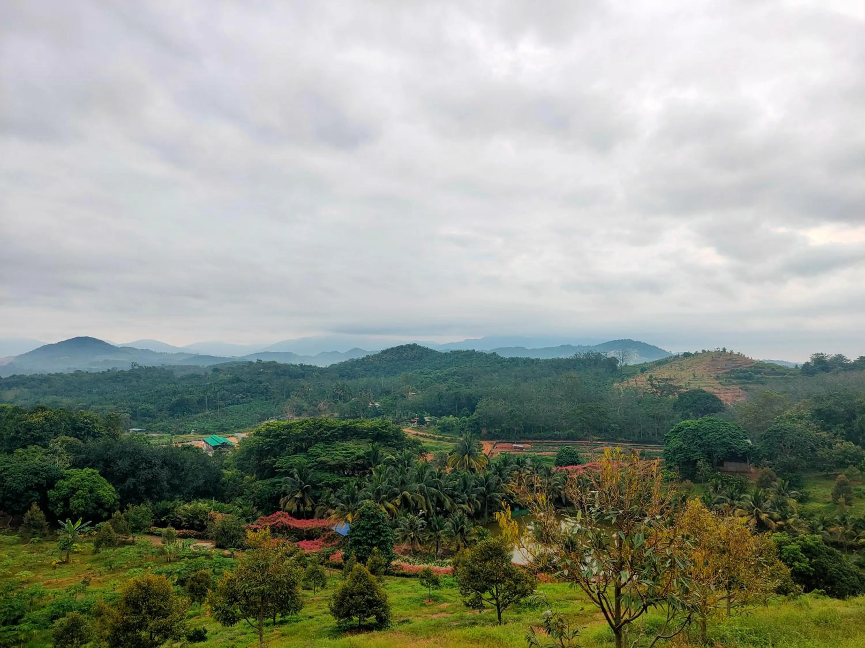 View (from property/room) in The Orchard Resort & Spa Melaka I World Spa Awards Winner I Free Access to Outdoor Spa Pool