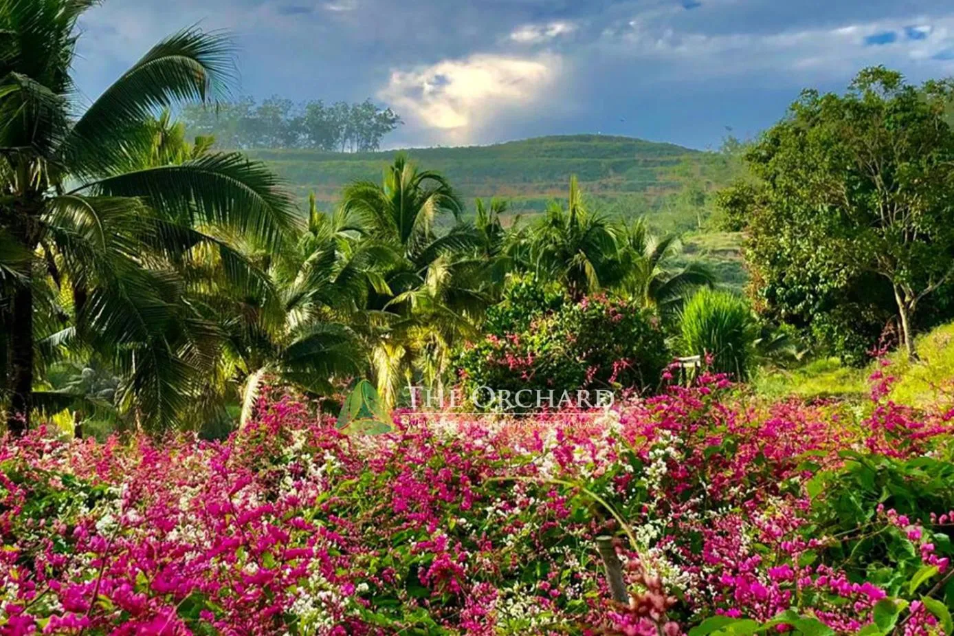 Other in The Orchard Resort & Spa Melaka I World Spa Awards Winner I Free Access to Outdoor Spa Pool