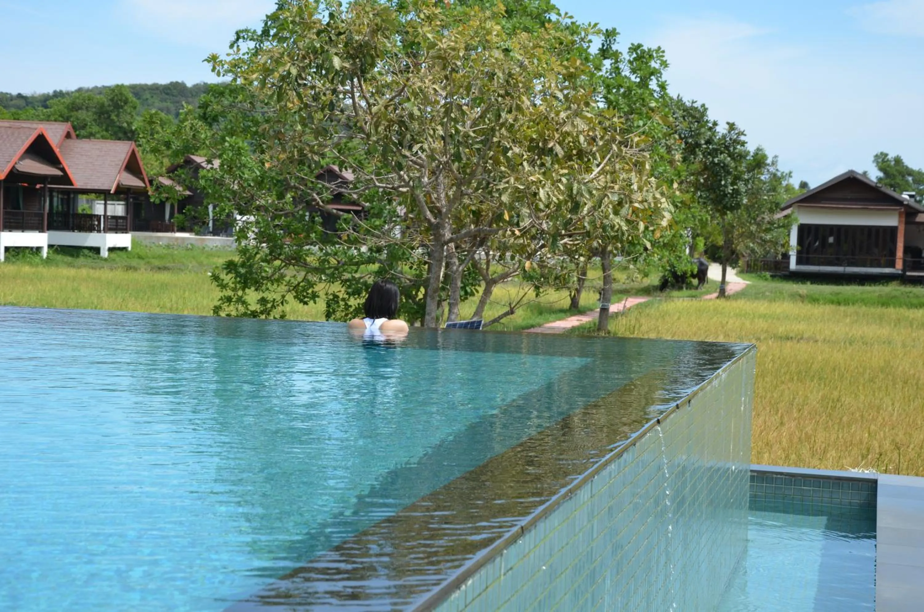 Pool view in Farmers Villa