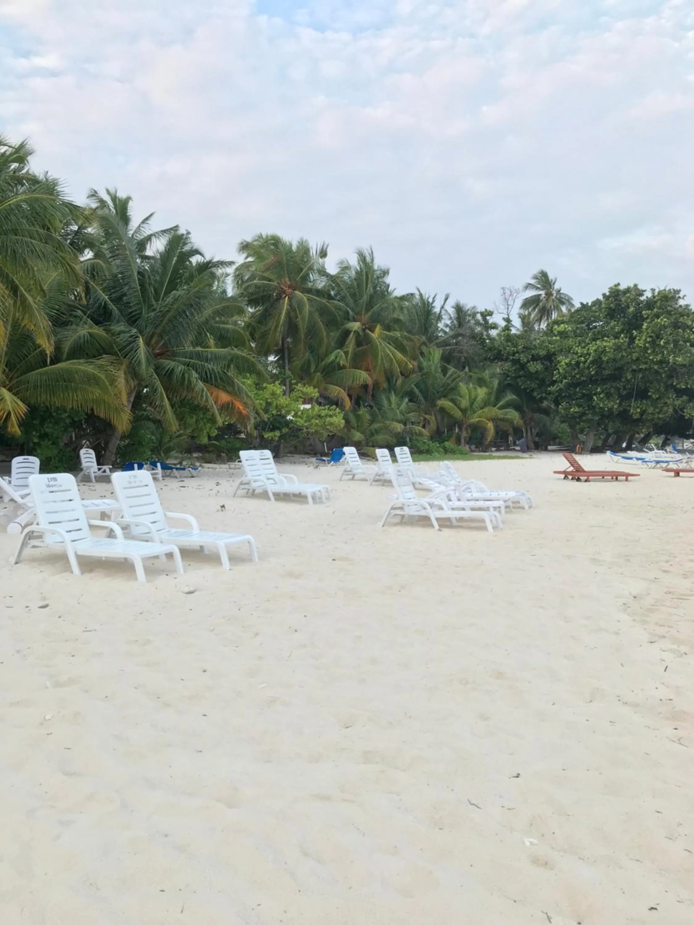 Beach in LVIS blancura Hotel