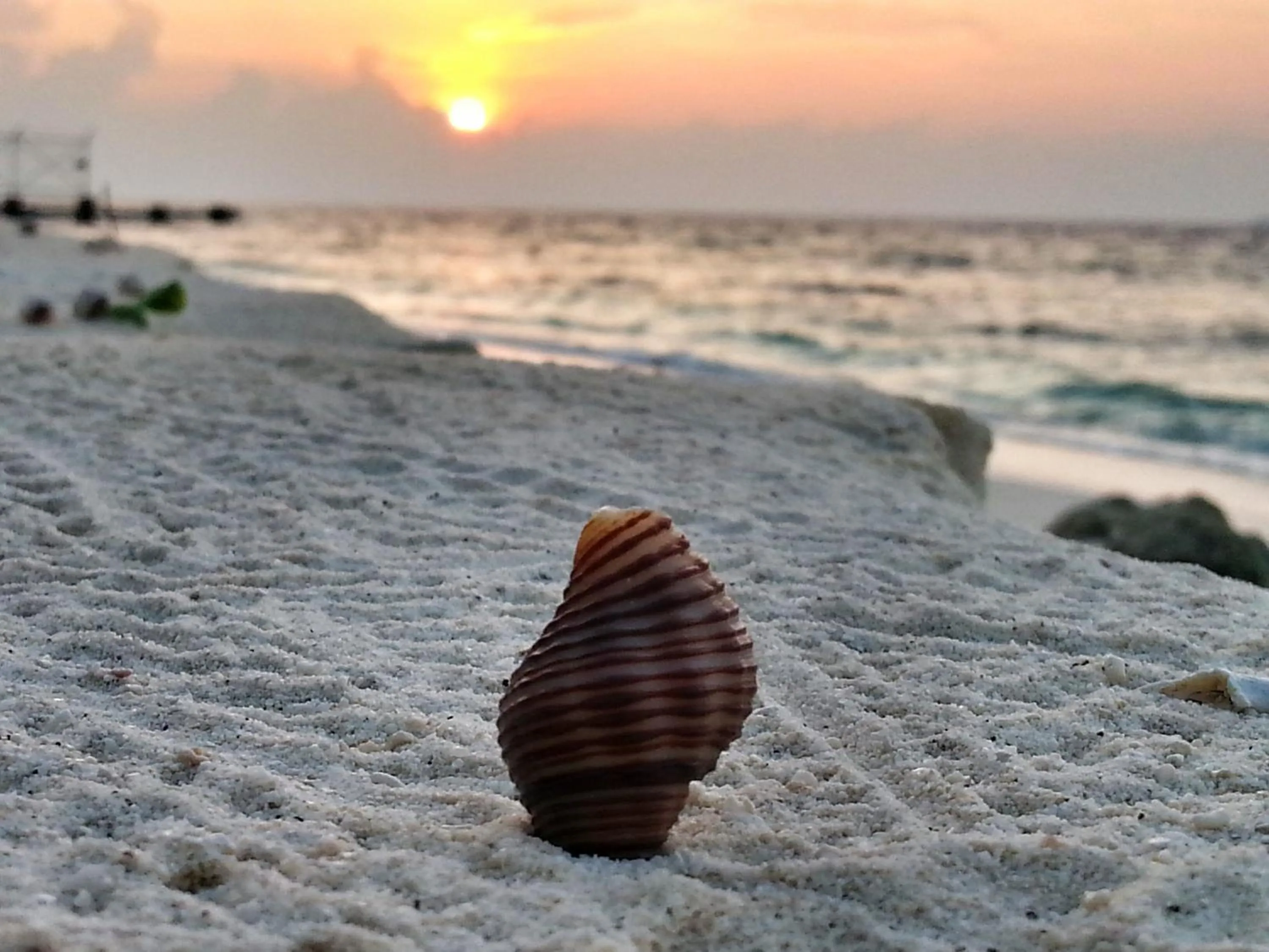 Beach in LVIS blancura Hotel