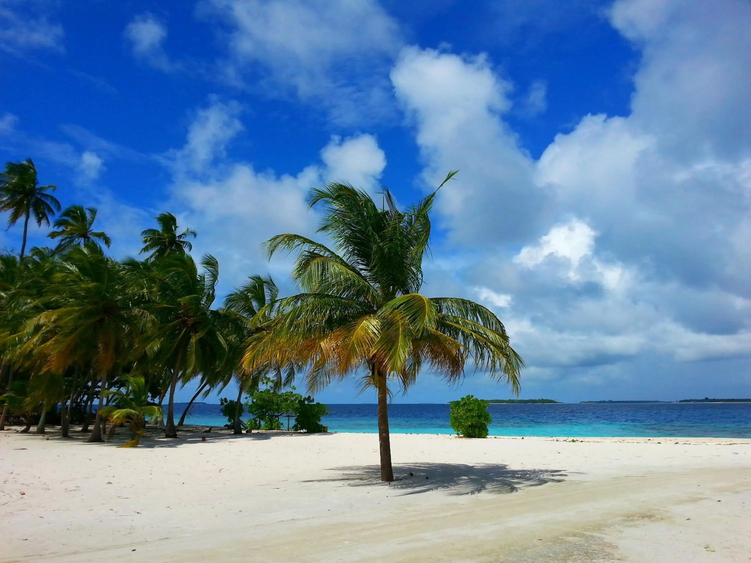 Day in LVIS blancura Hotel