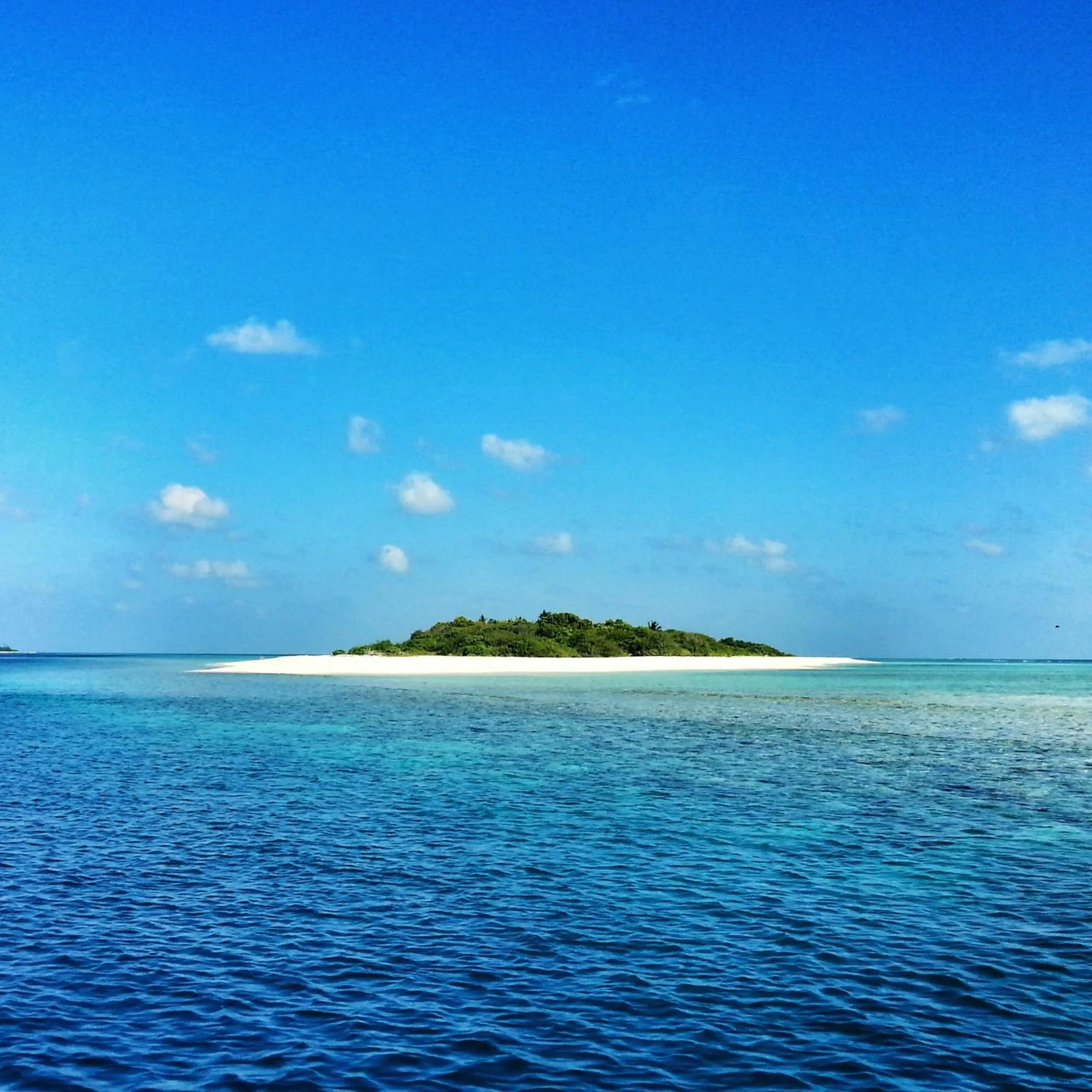 Day in LVIS blancura Hotel