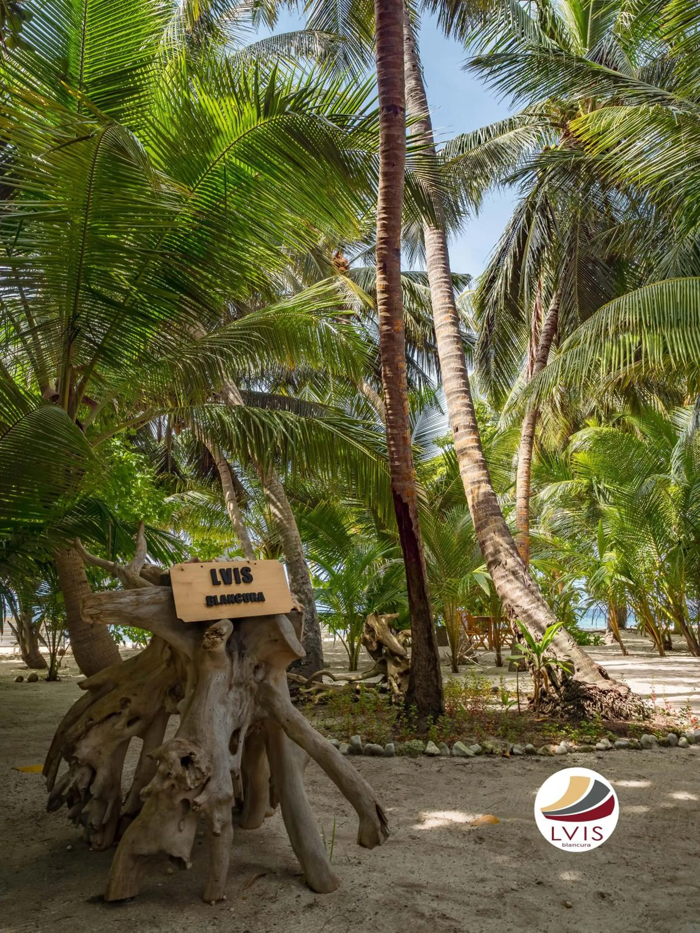Garden in LVIS blancura Hotel