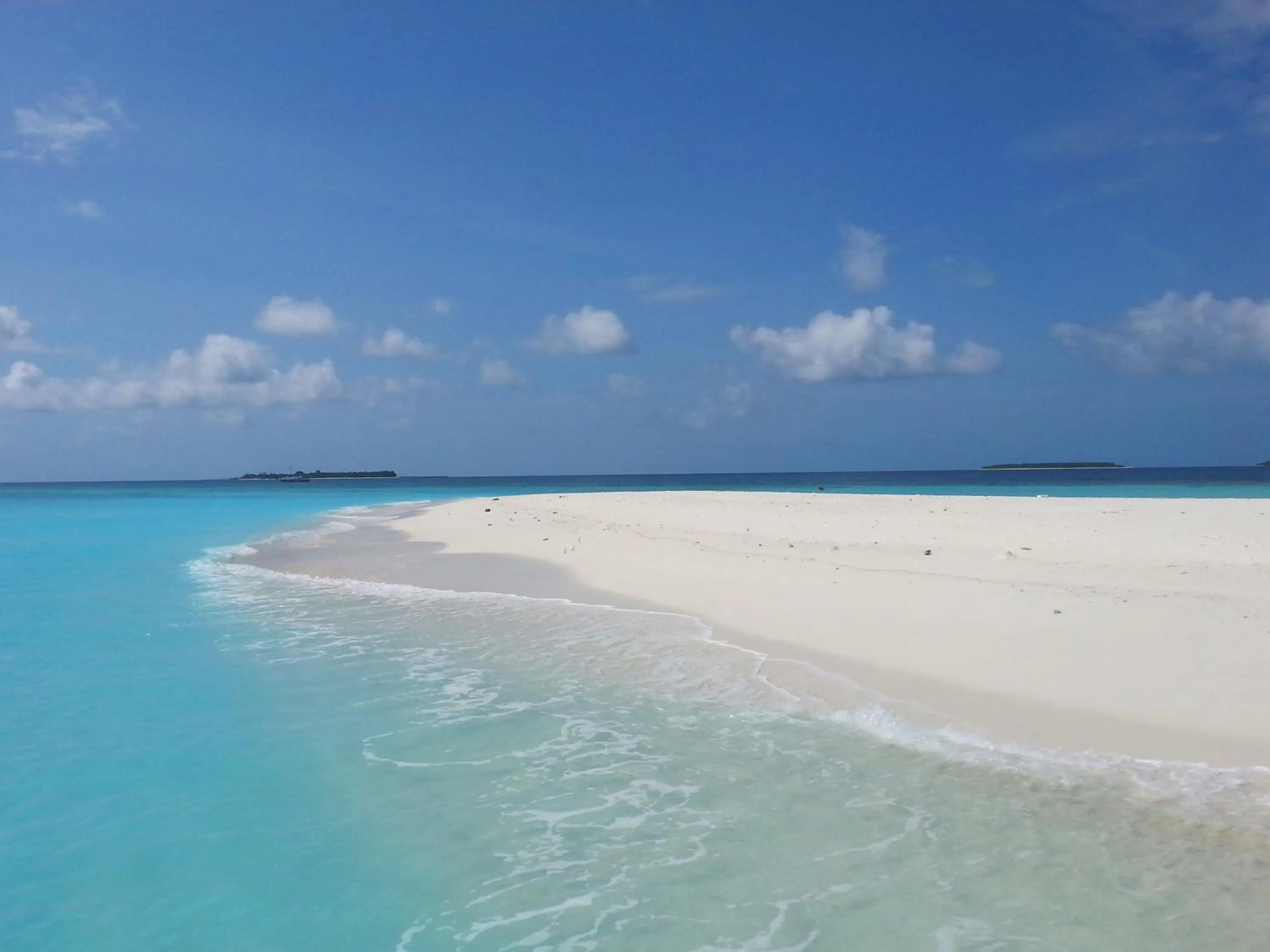 Activities in LVIS blancura Hotel