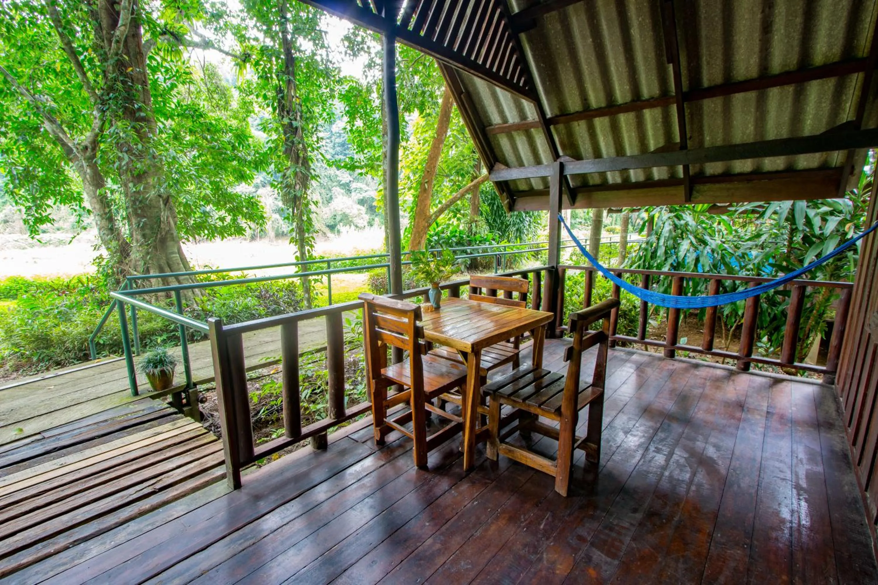 Day in Khao Sok Riverside Cottages