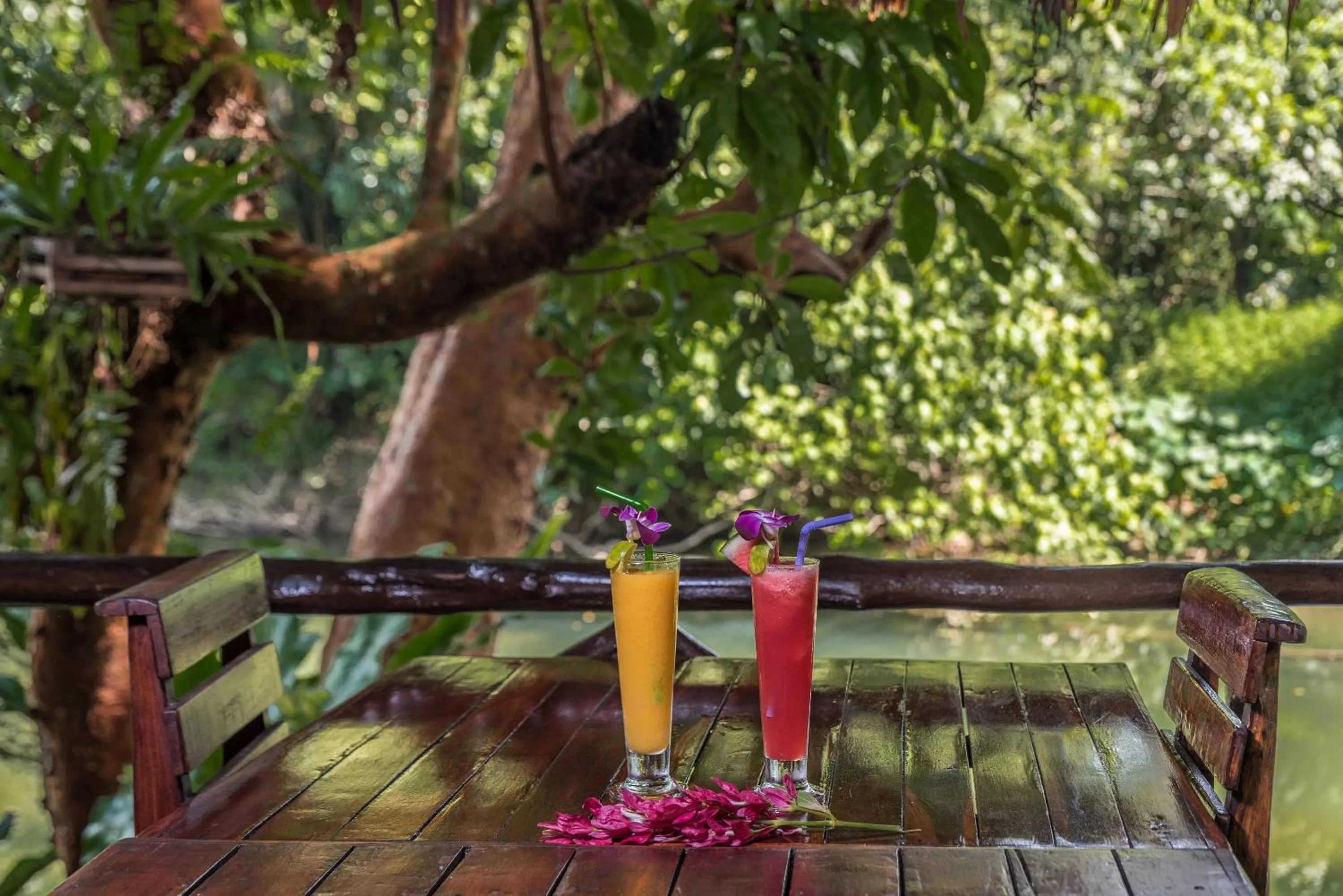 Restaurant/places to eat in Khao Sok Riverside Cottages