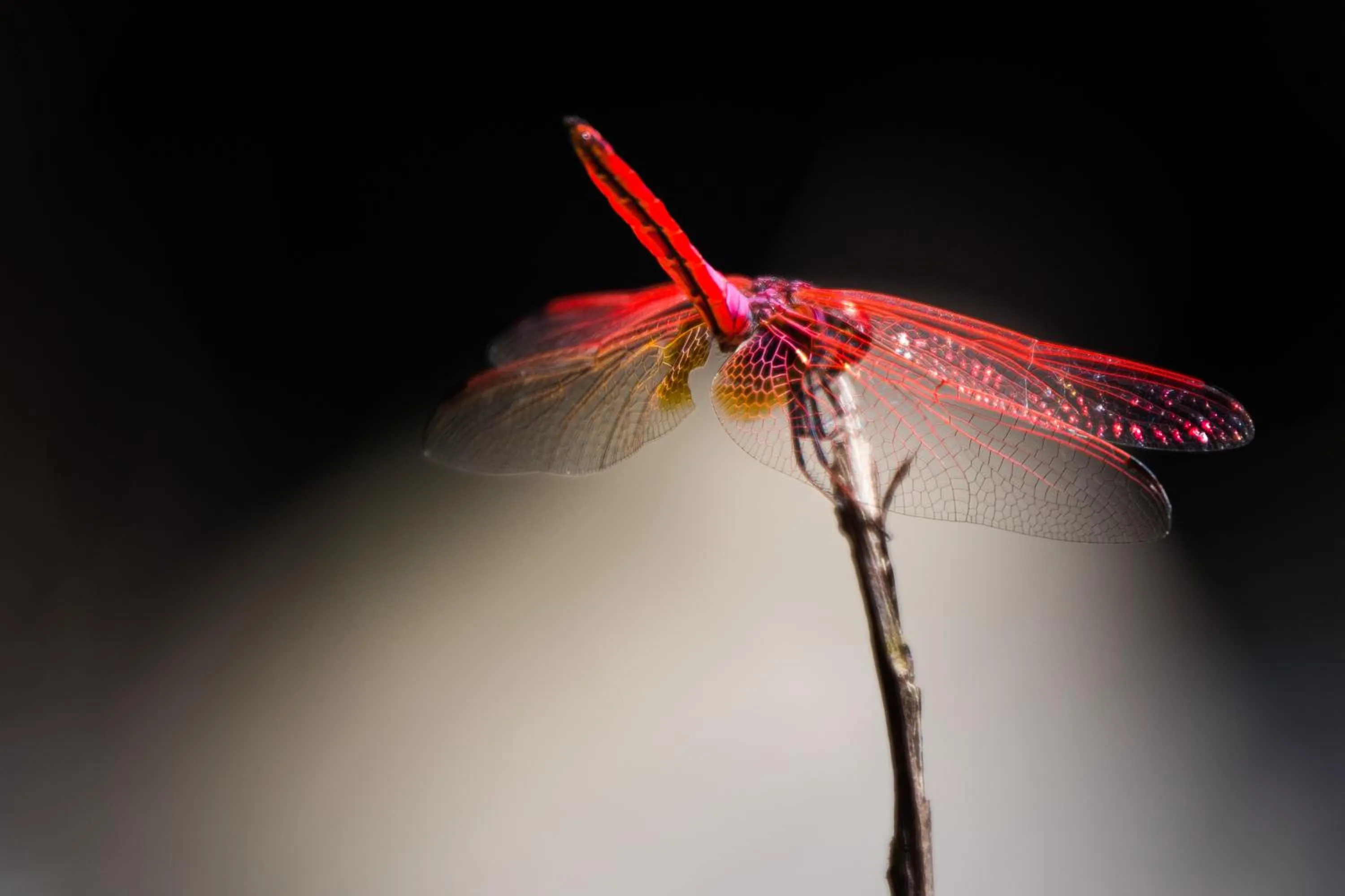 Natural landscape in Khao Sok Riverside Cottages
