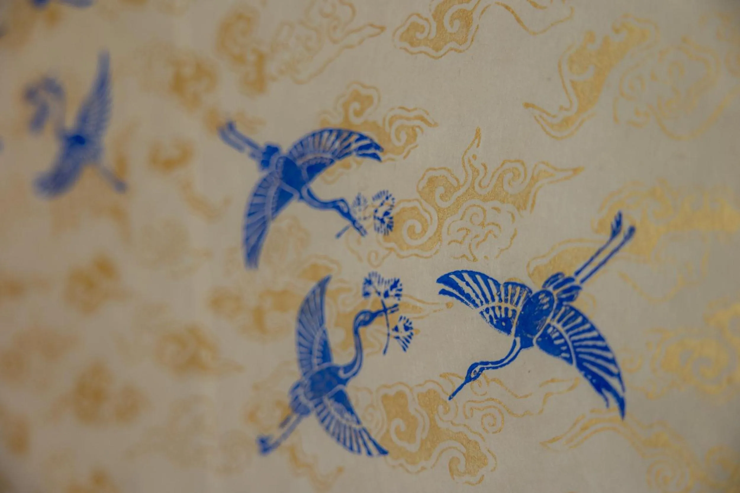 Other in Kifuno Sato