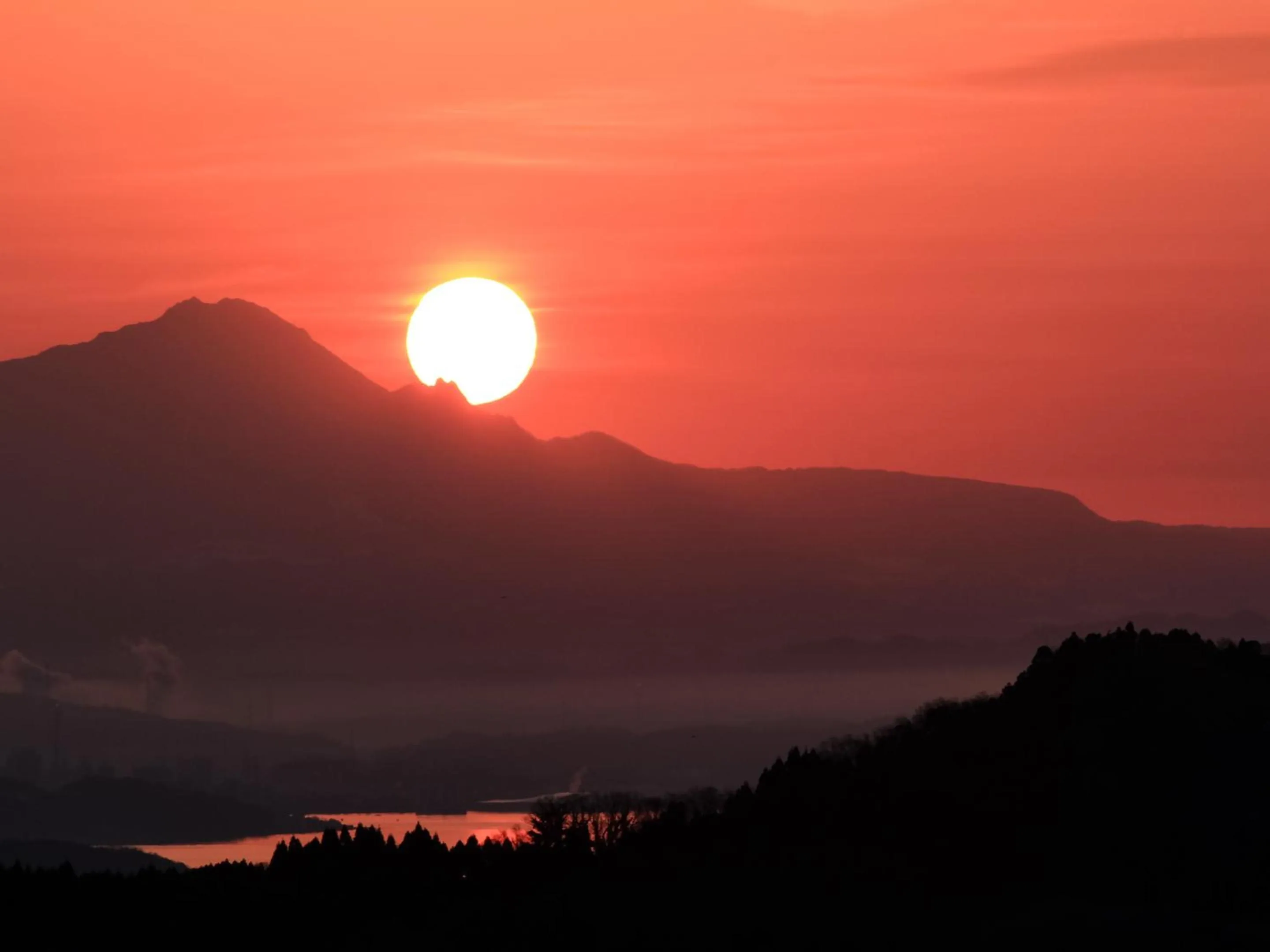 Natural landscape in Mt Ichibata Cottage