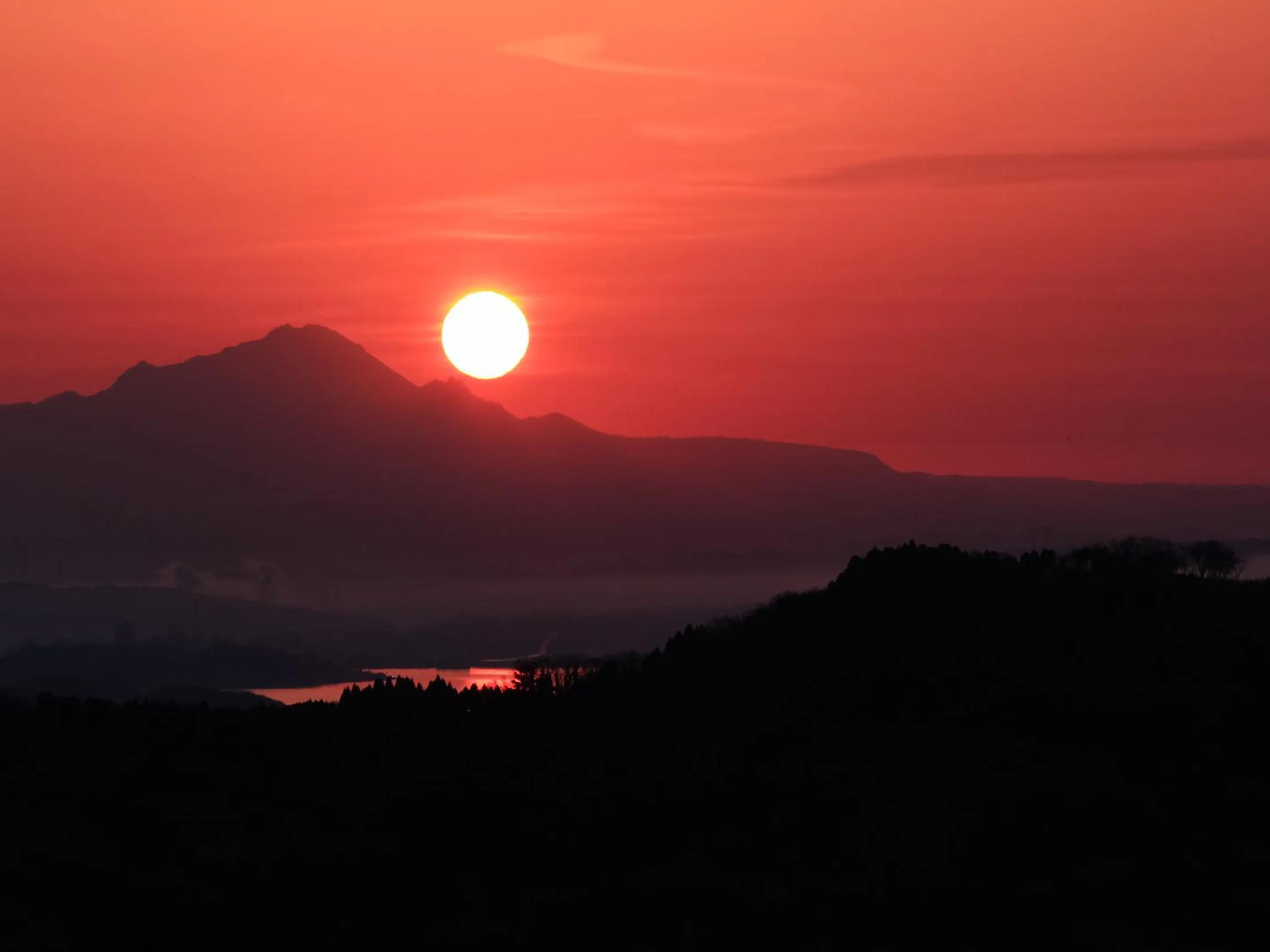 Natural landscape in Mt Ichibata Cottage