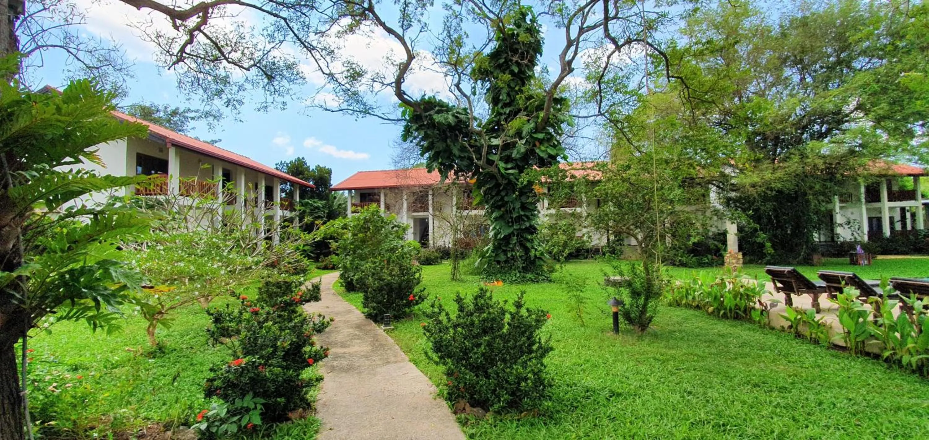 Property building in Blue Turtle Hotel