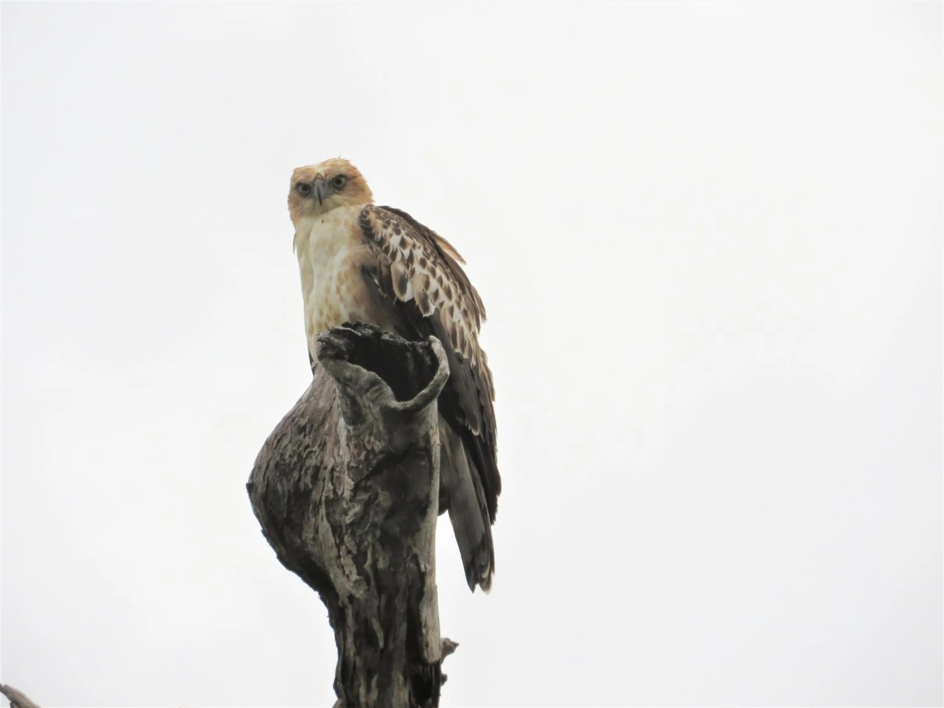 Activities in Blue Turtle Hotel