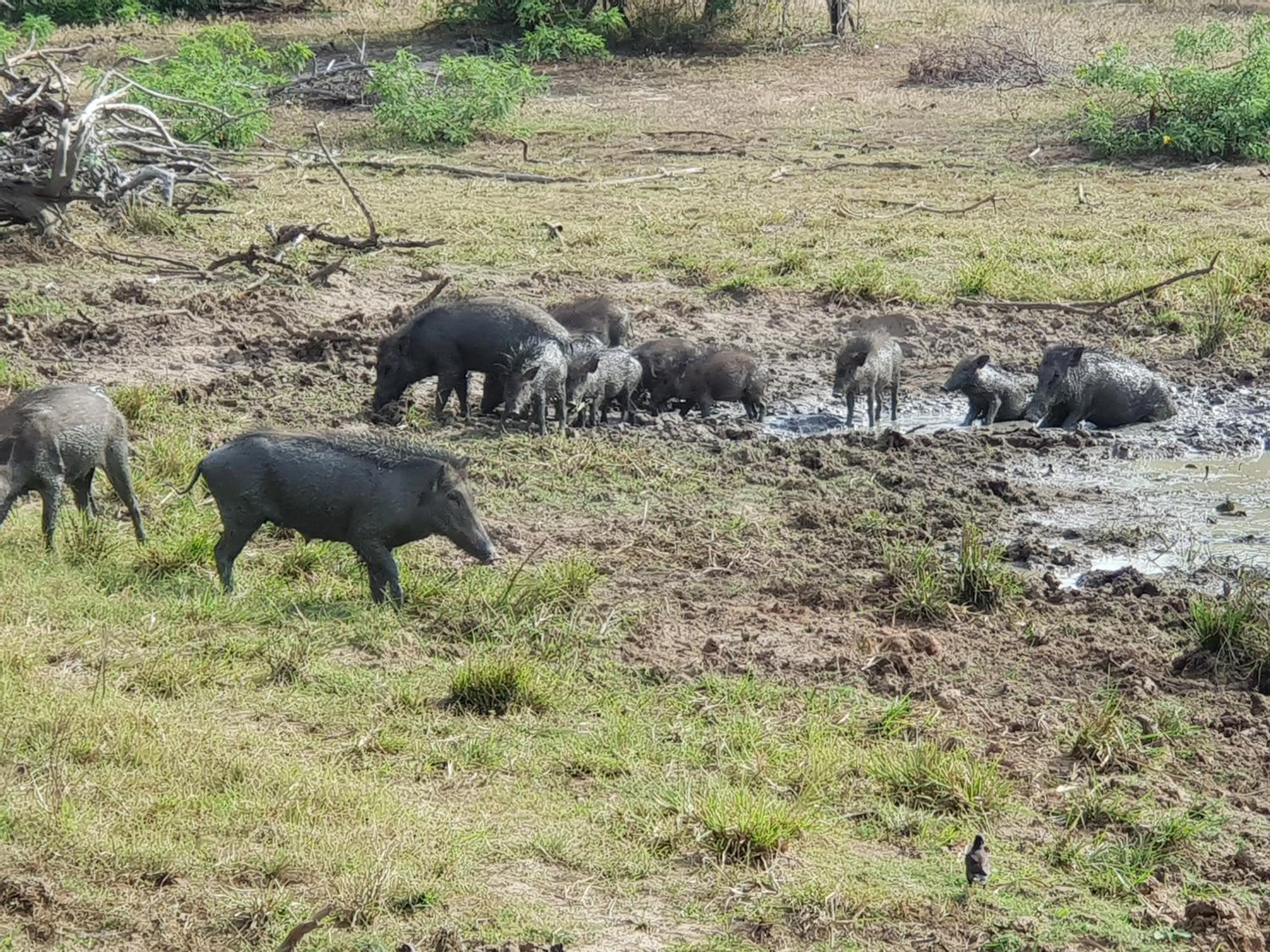 Activities in Blue Turtle Hotel