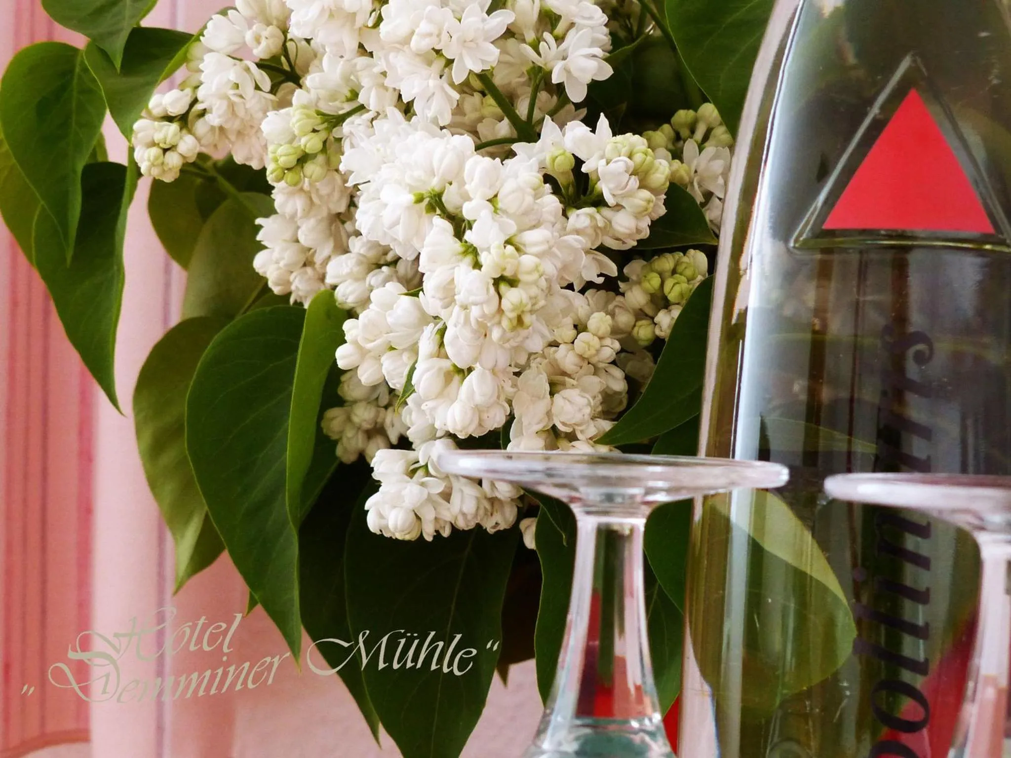 Other in Hotel Demminer Mühle